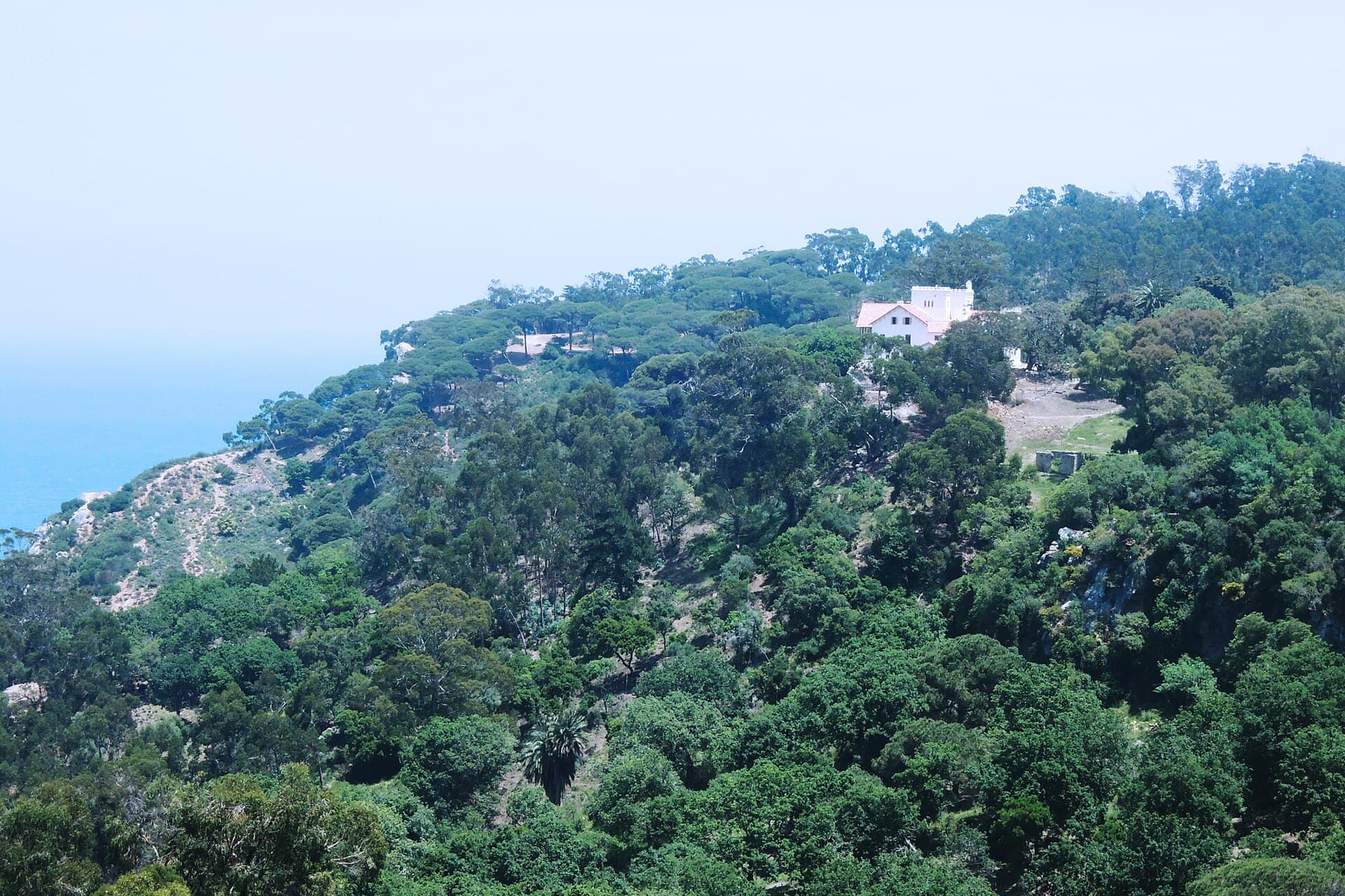 Perdicaris Park (Rmilat Forest)
