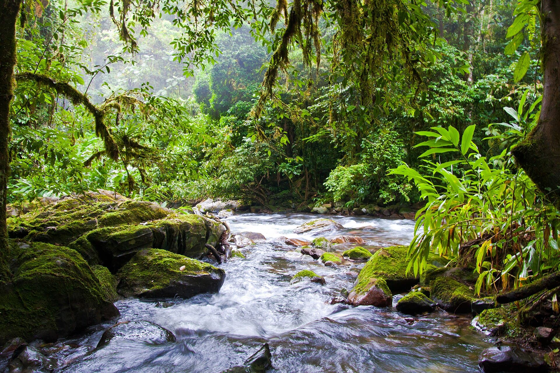 PETAR (Alto Ribeira Tourist State Park), Iporanga