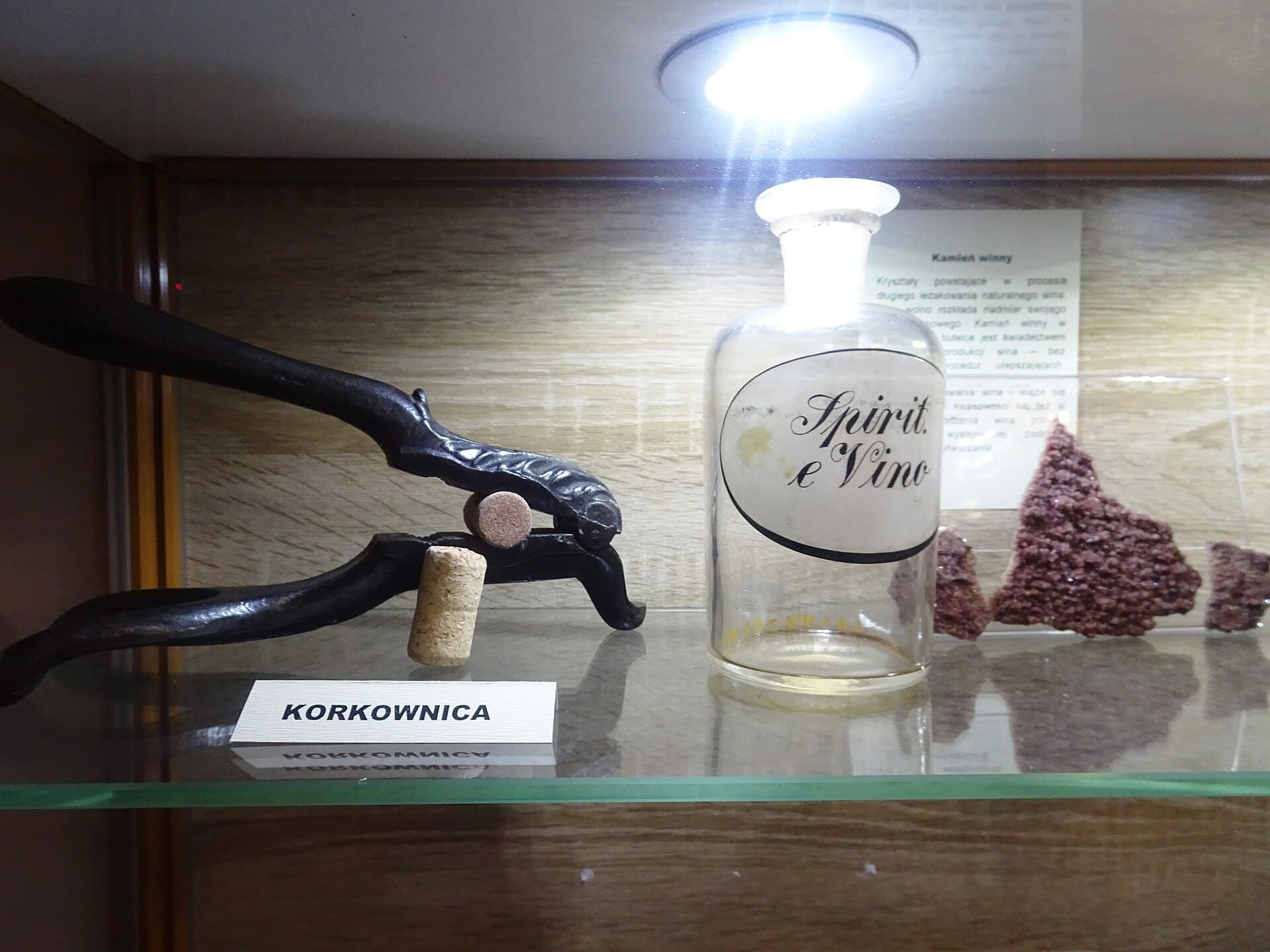 Museum of Pharmacy, Wrocław, Wrocław