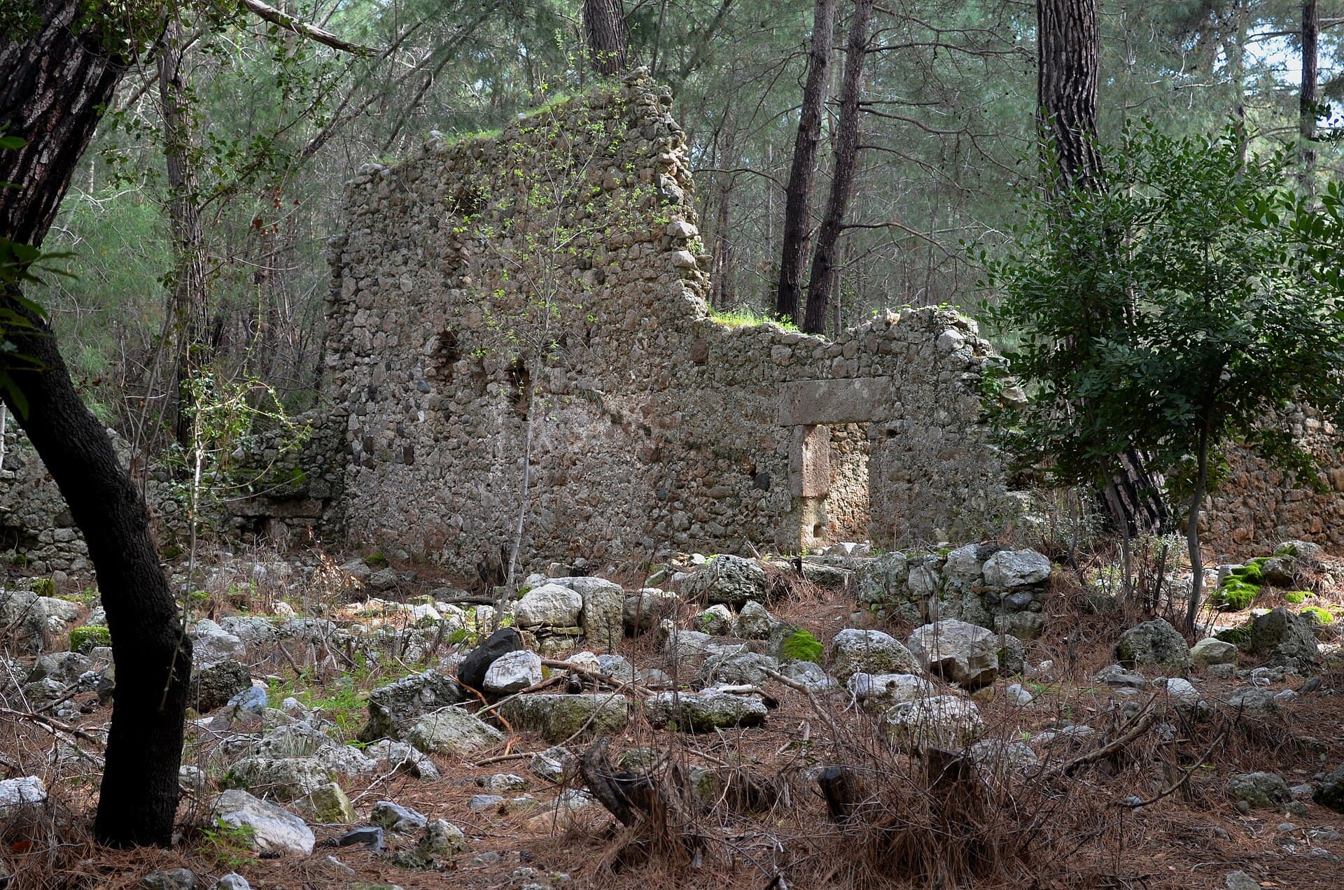 Phaselis