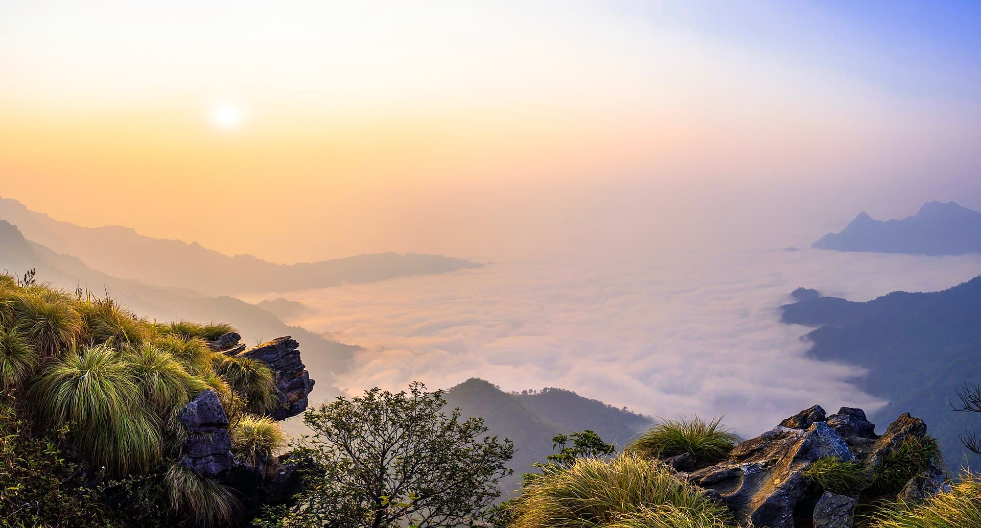 Phu Chi Fa, Chiang Rai