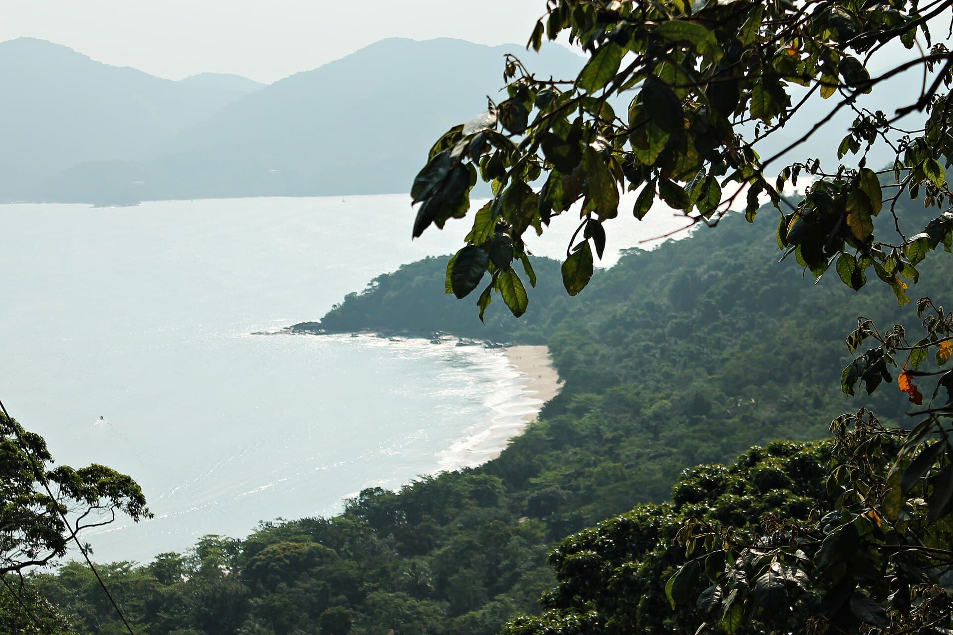 Picinguaba, Ubatuba