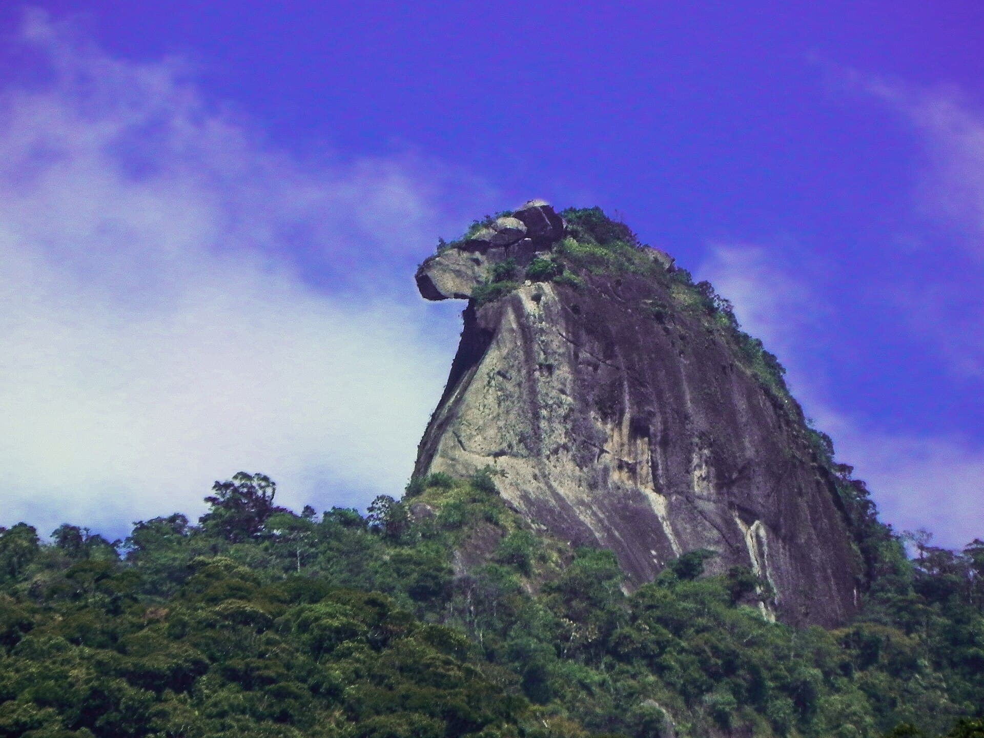 Pico do Papagaio, Ilha Grande