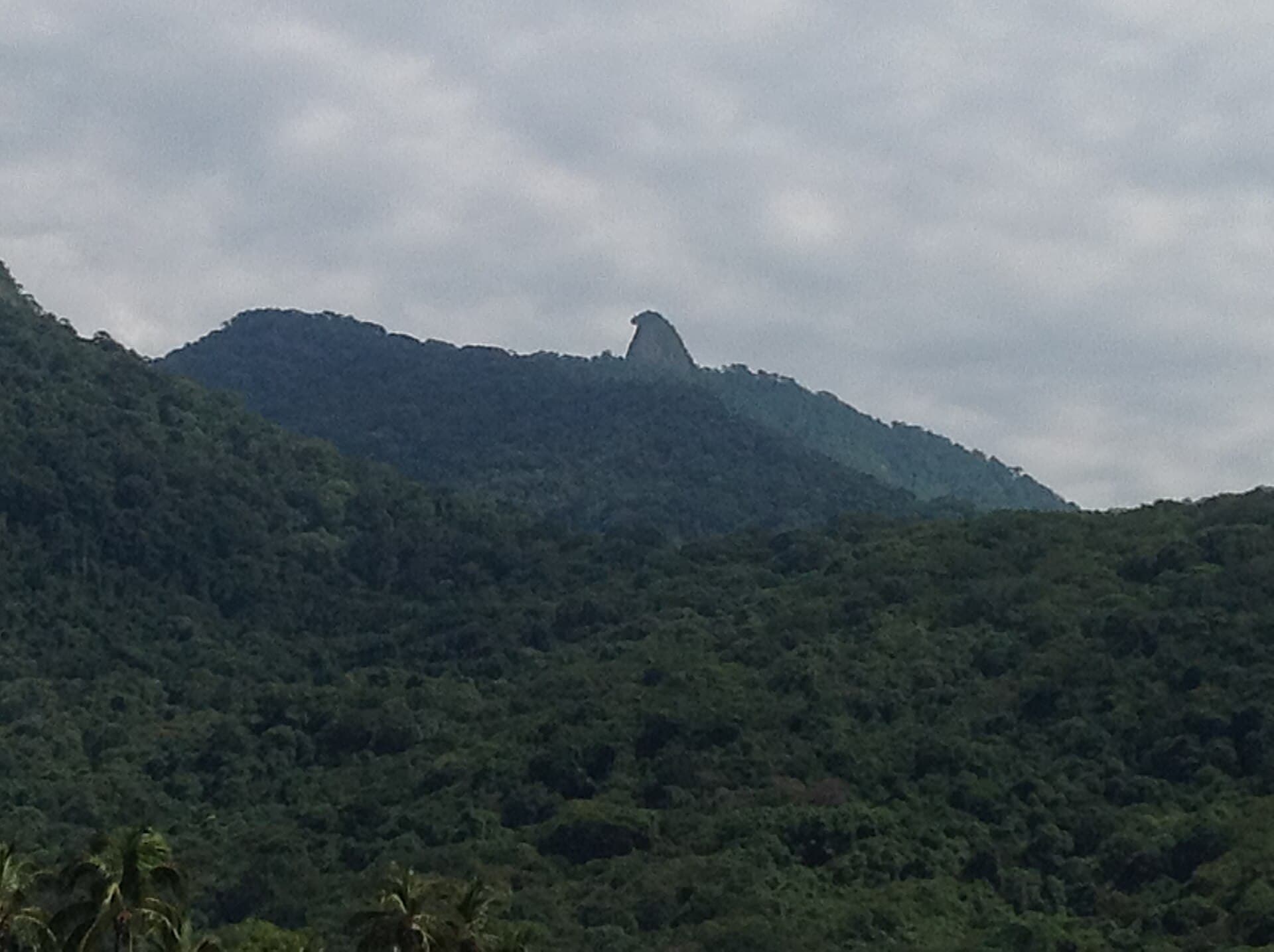 Pico do Papagaio, Ilha Grande