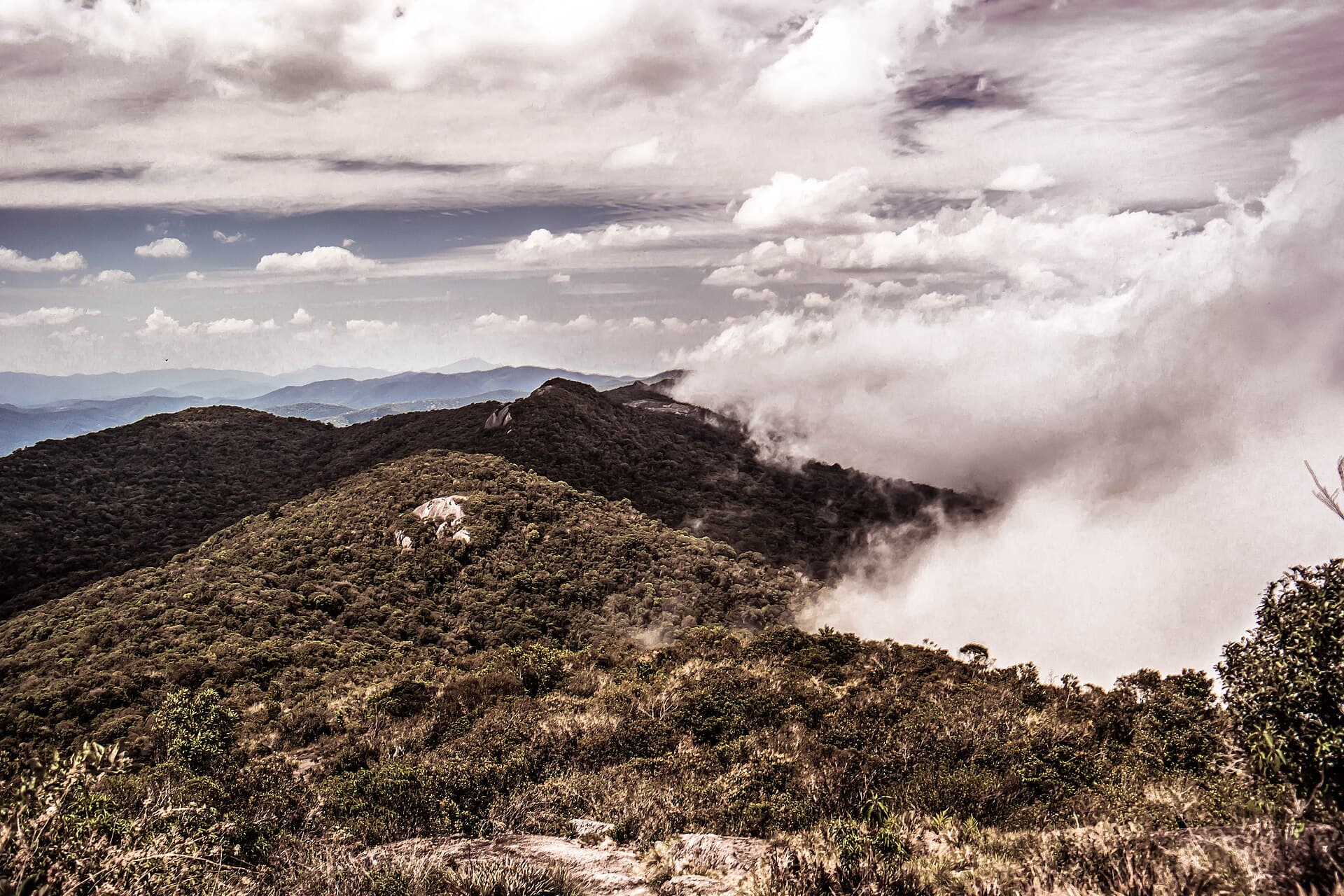 Pico do Selado, Monte Verde