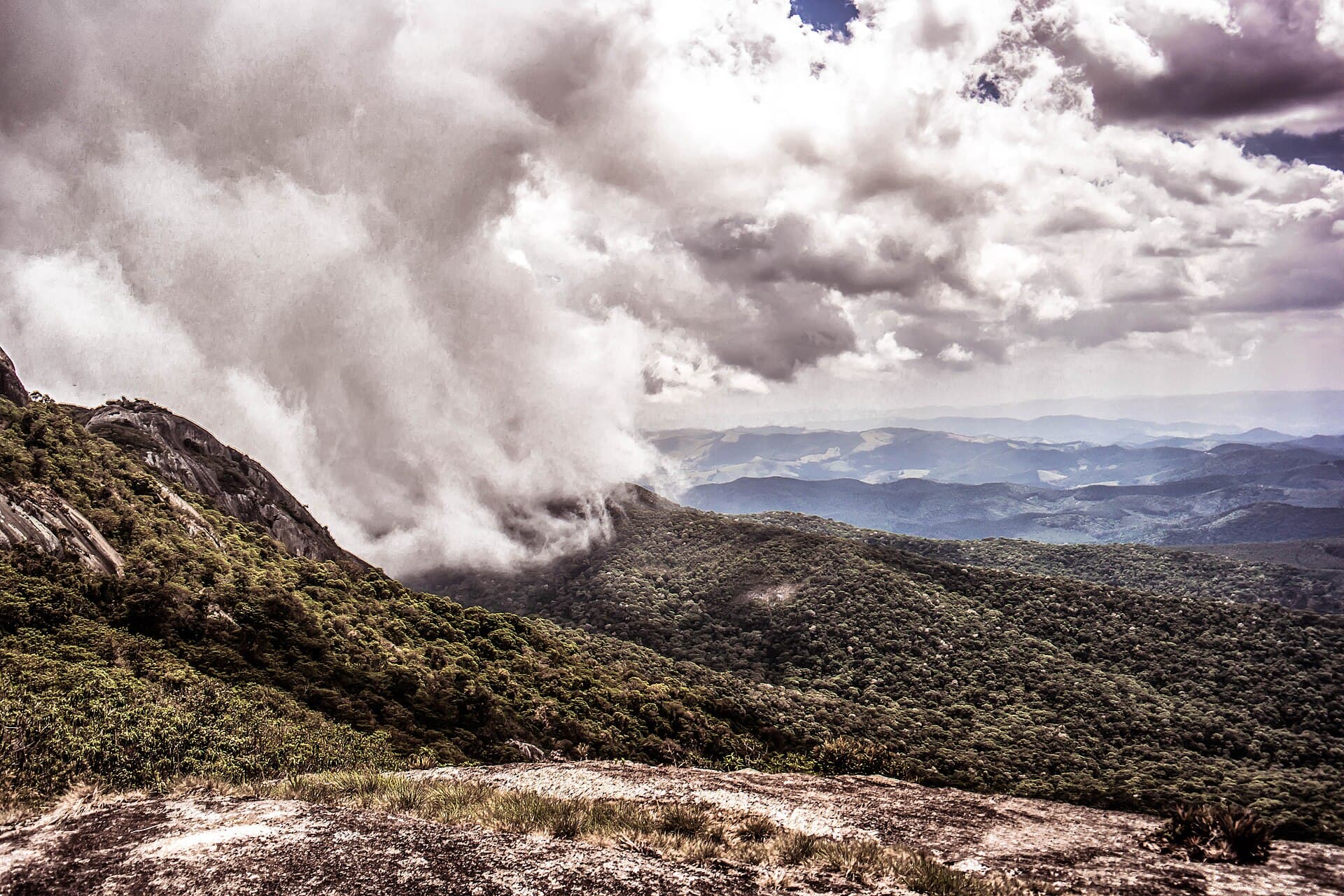 Pico do Selado, Monte Verde