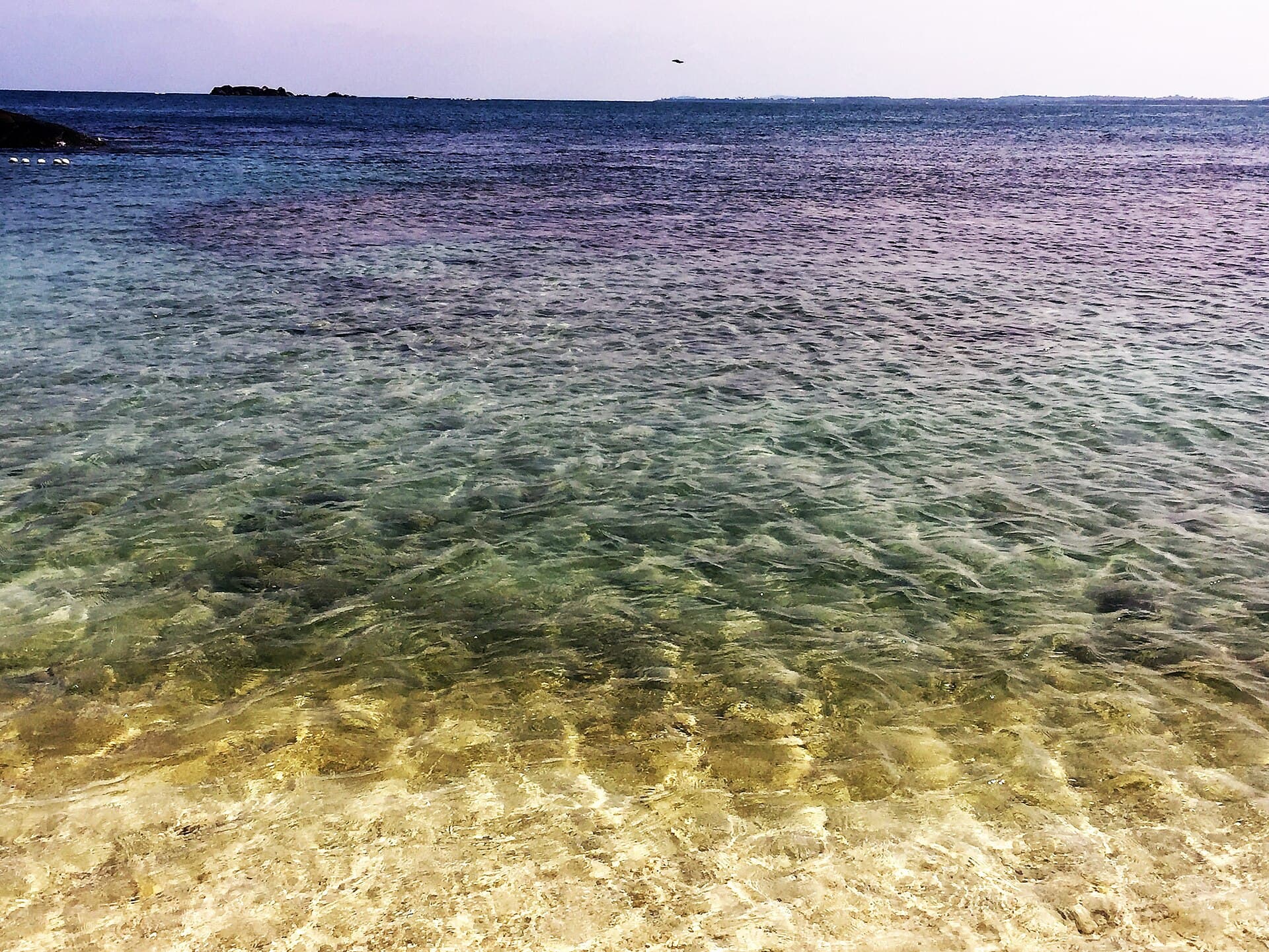 Pigeon Island National Park