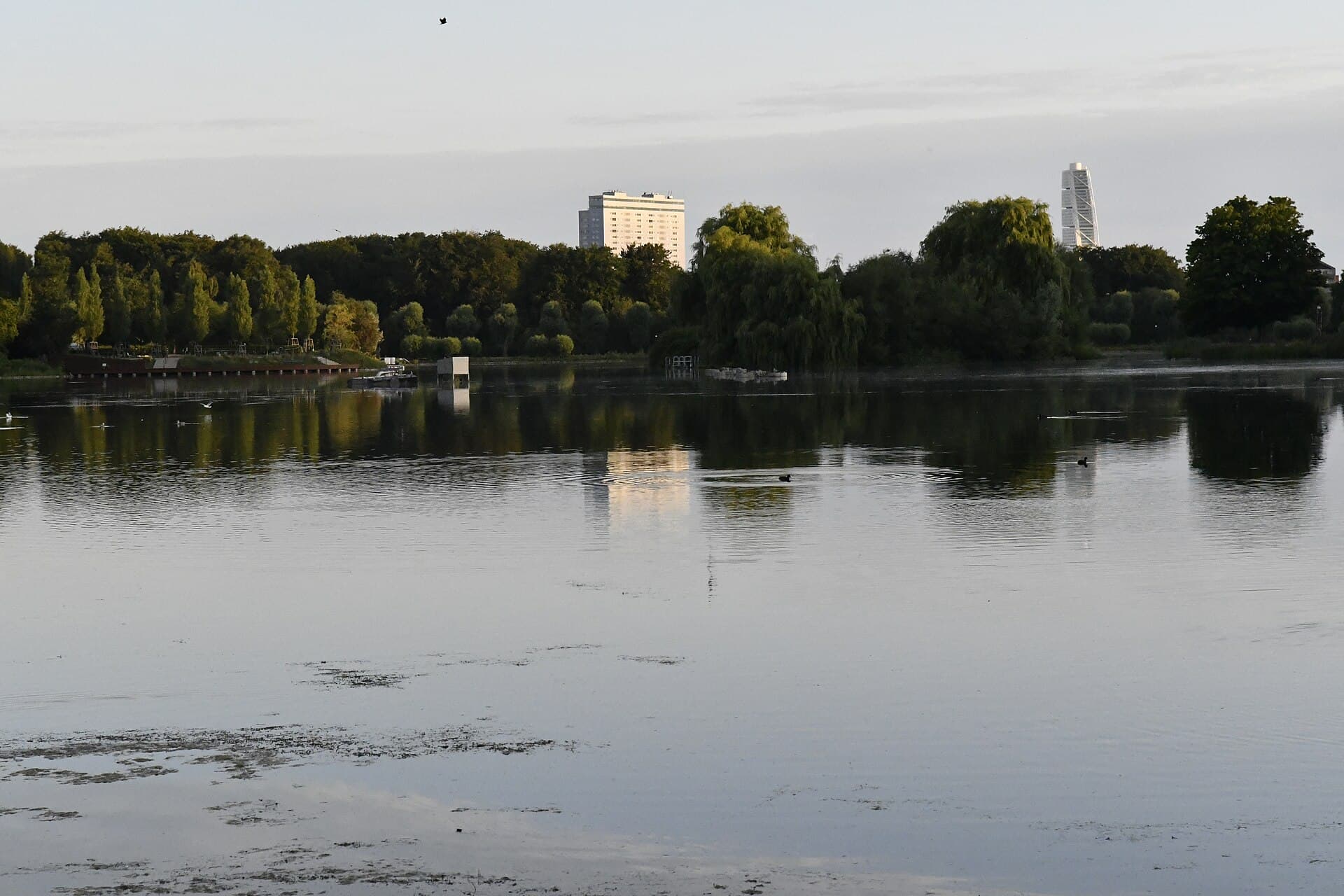 Pildammsparken, Malmo