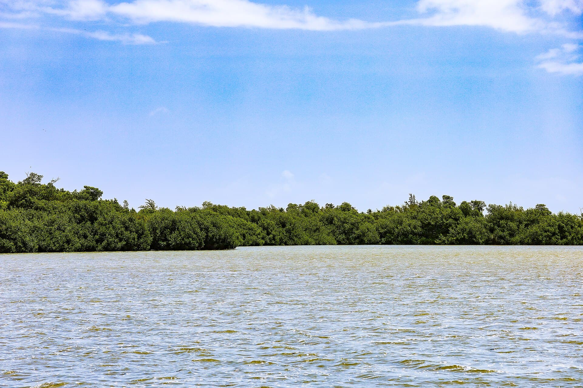 The Pinones boardwalk through the mangroves