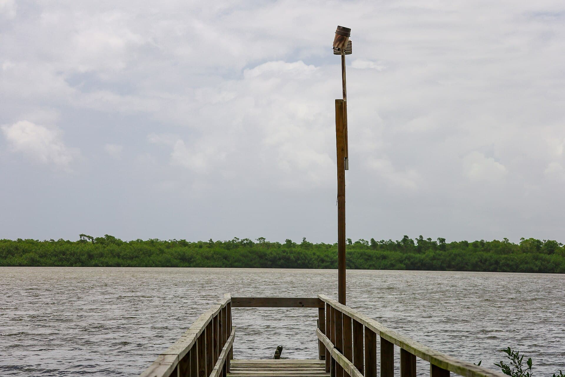 The Pinones boardwalk through the mangroves