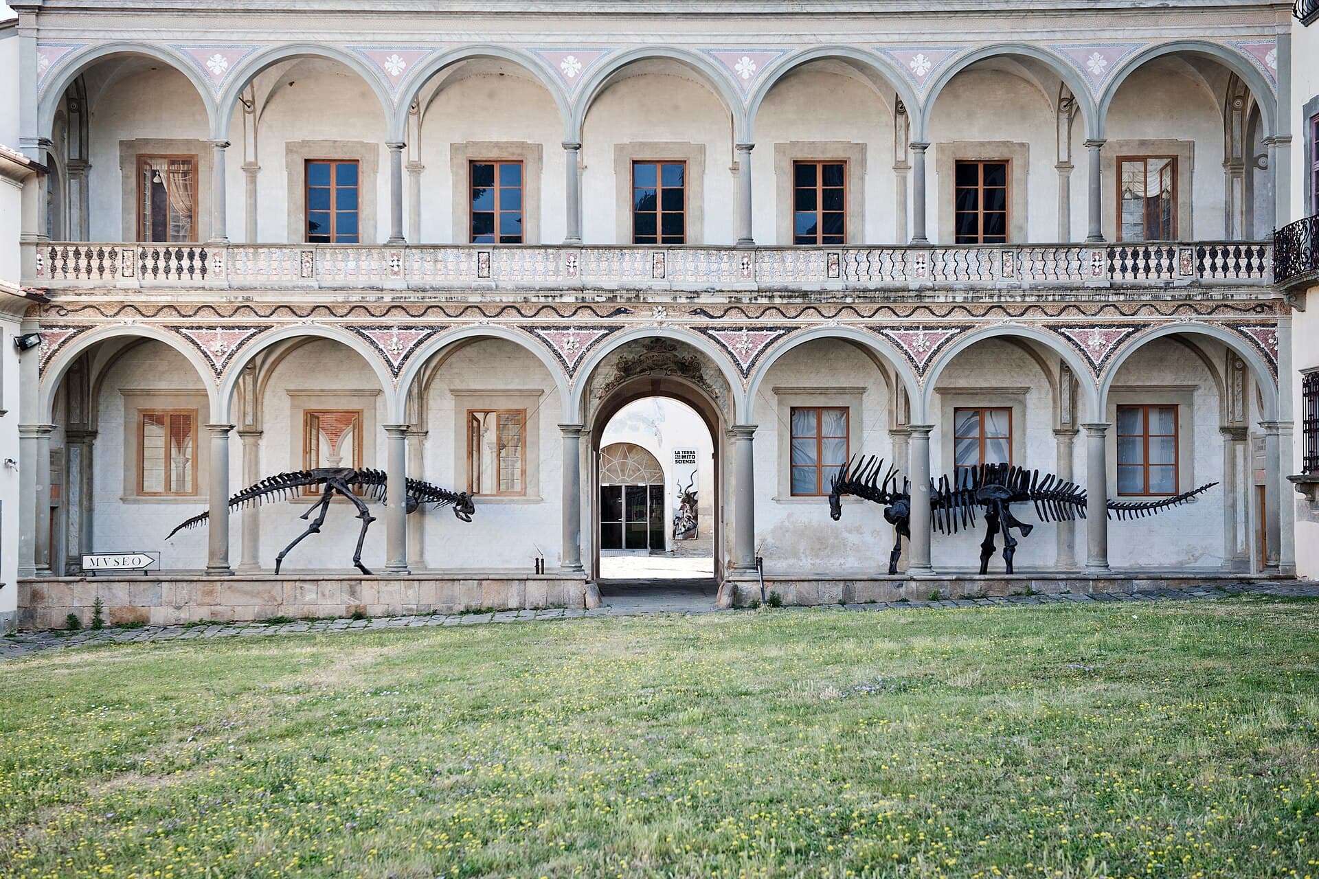 Natural History Museum of the University of Pisa, Pisa
