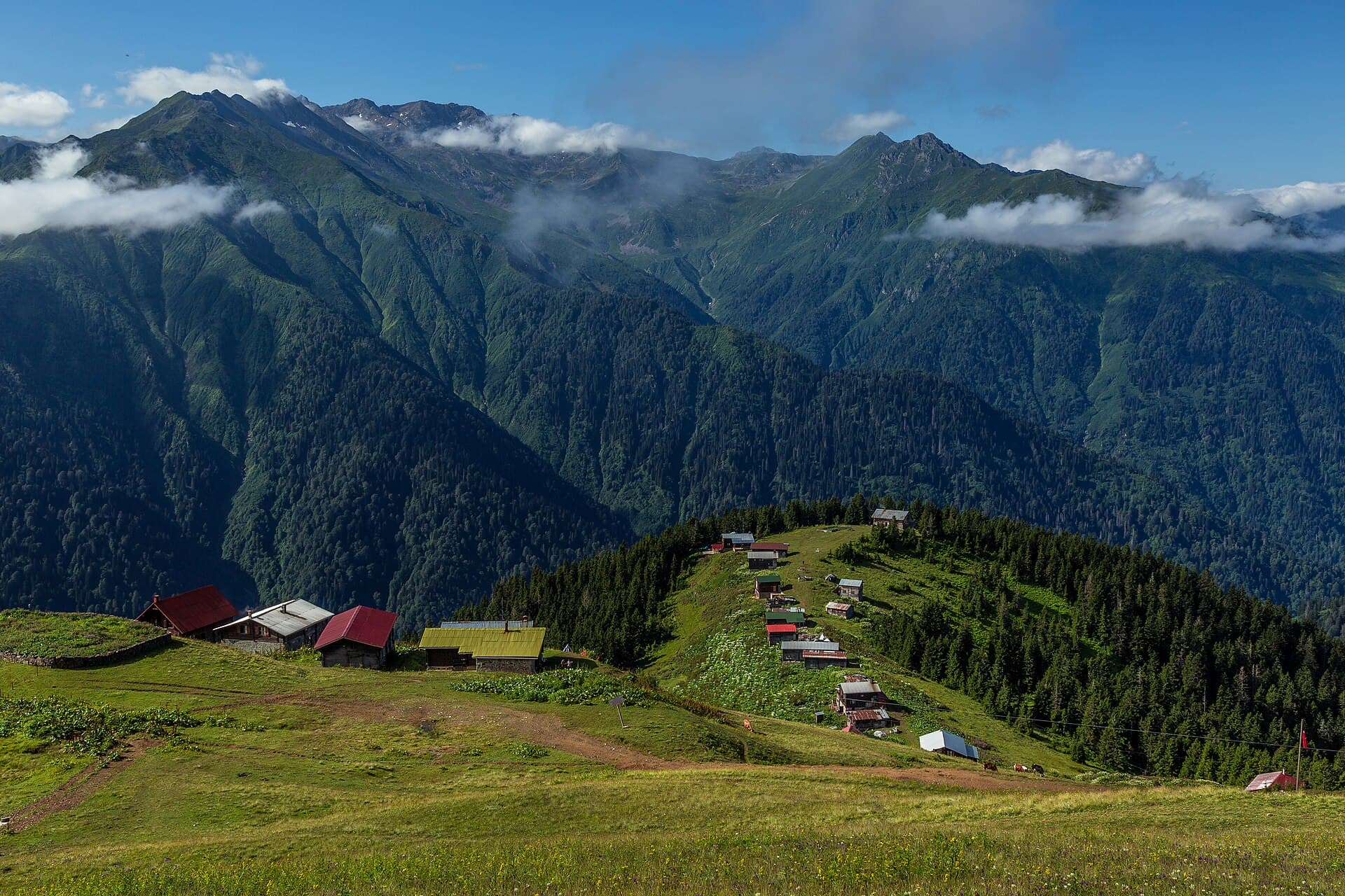 Pokut Plateau, Rize