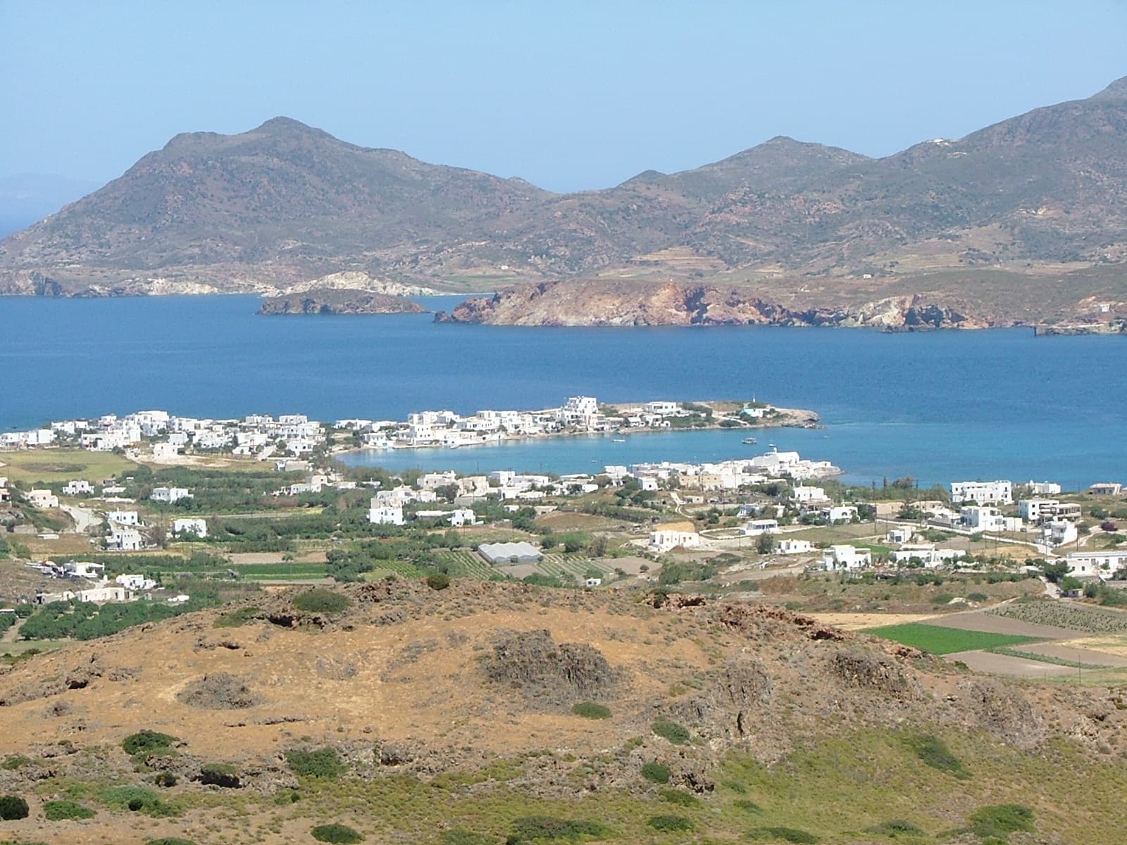 Pollonia
