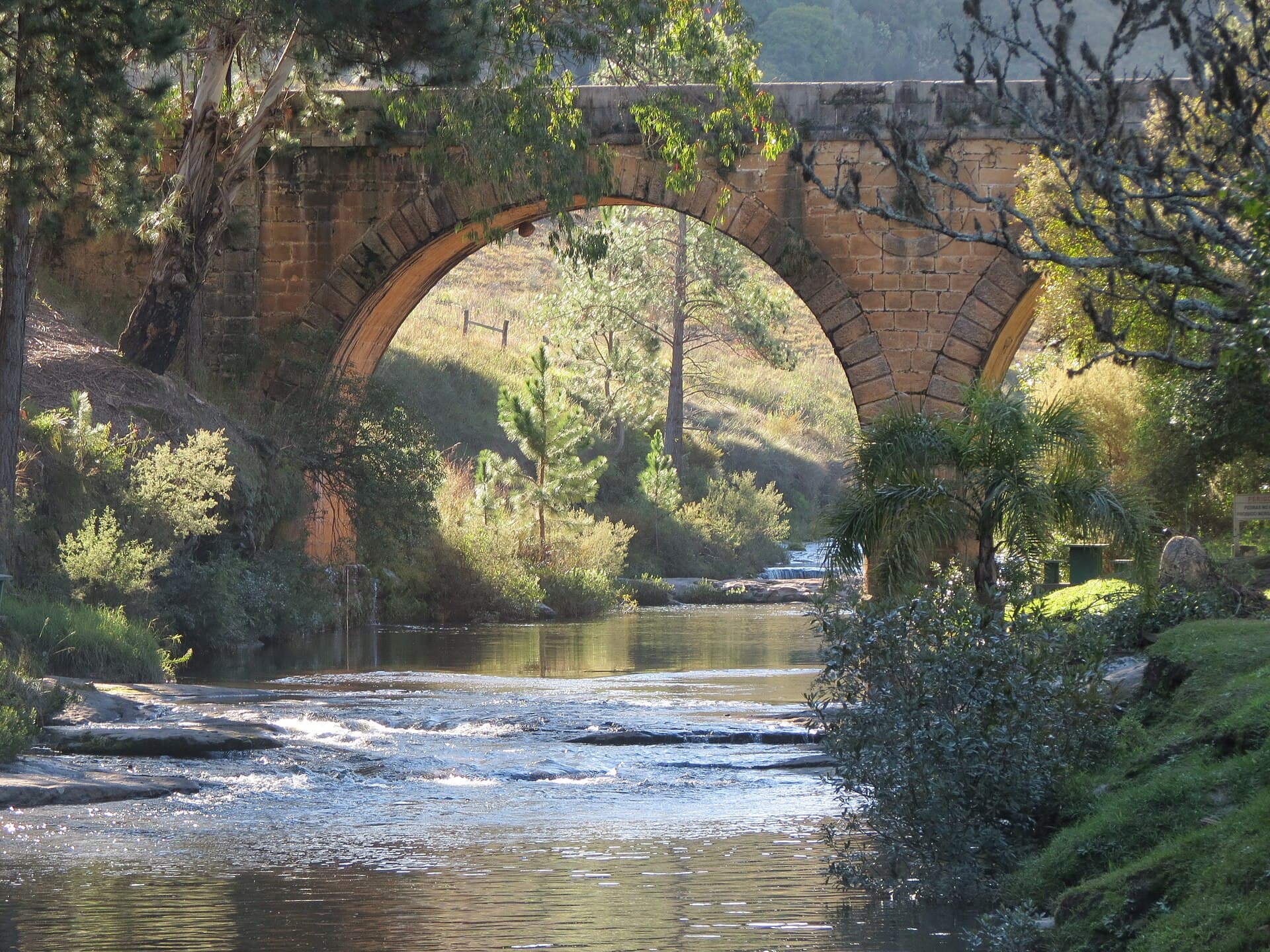 Ponte dos Papagaios, Palmeira