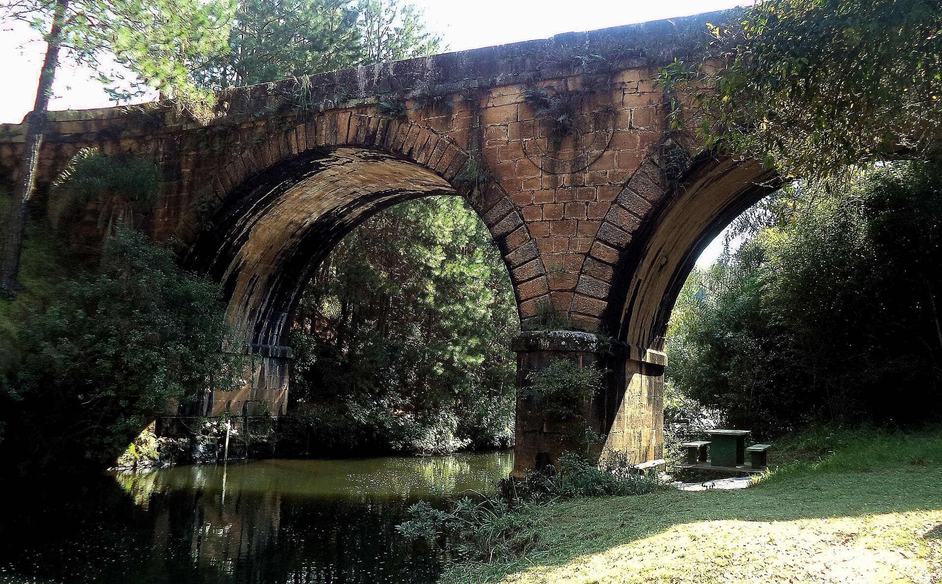 Ponte dos Papagaios, Palmeira