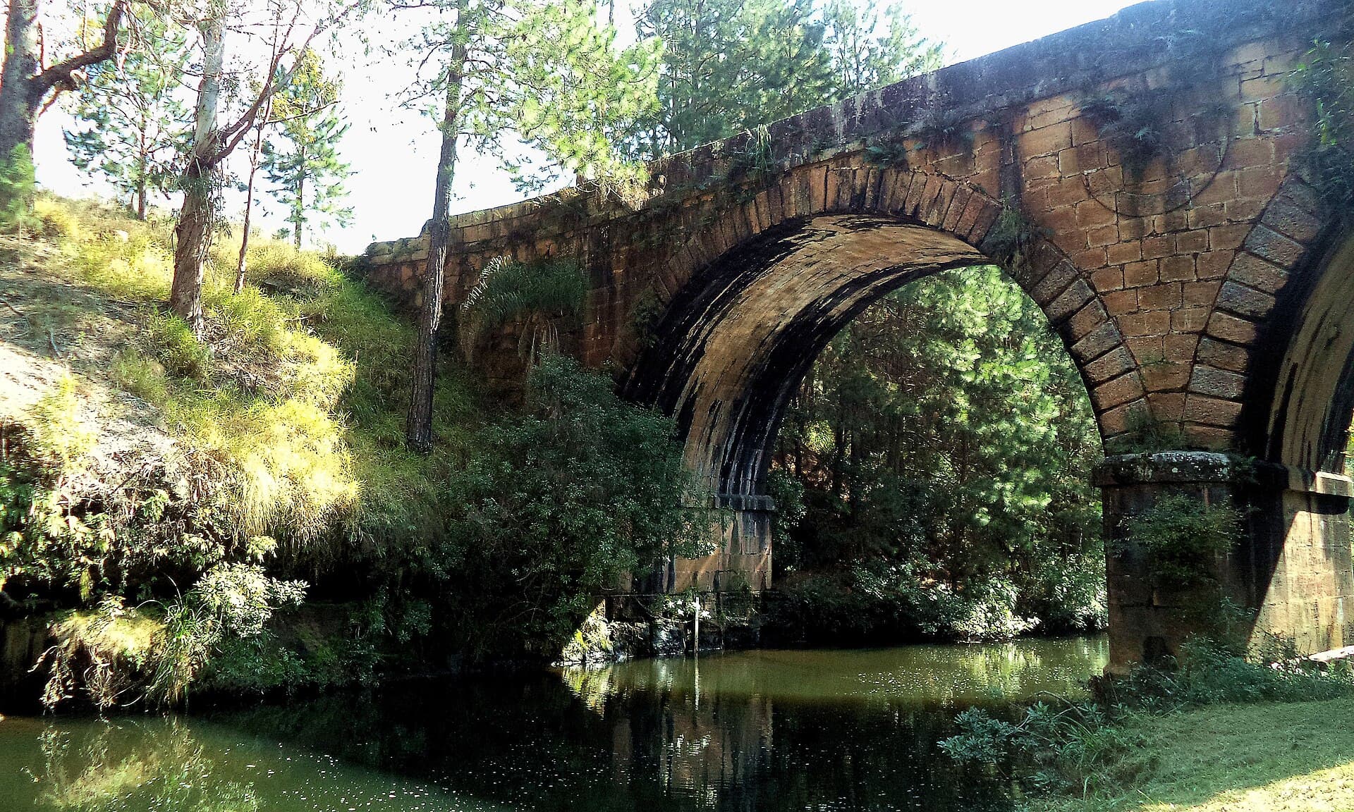 Ponte dos Papagaios, Palmeira