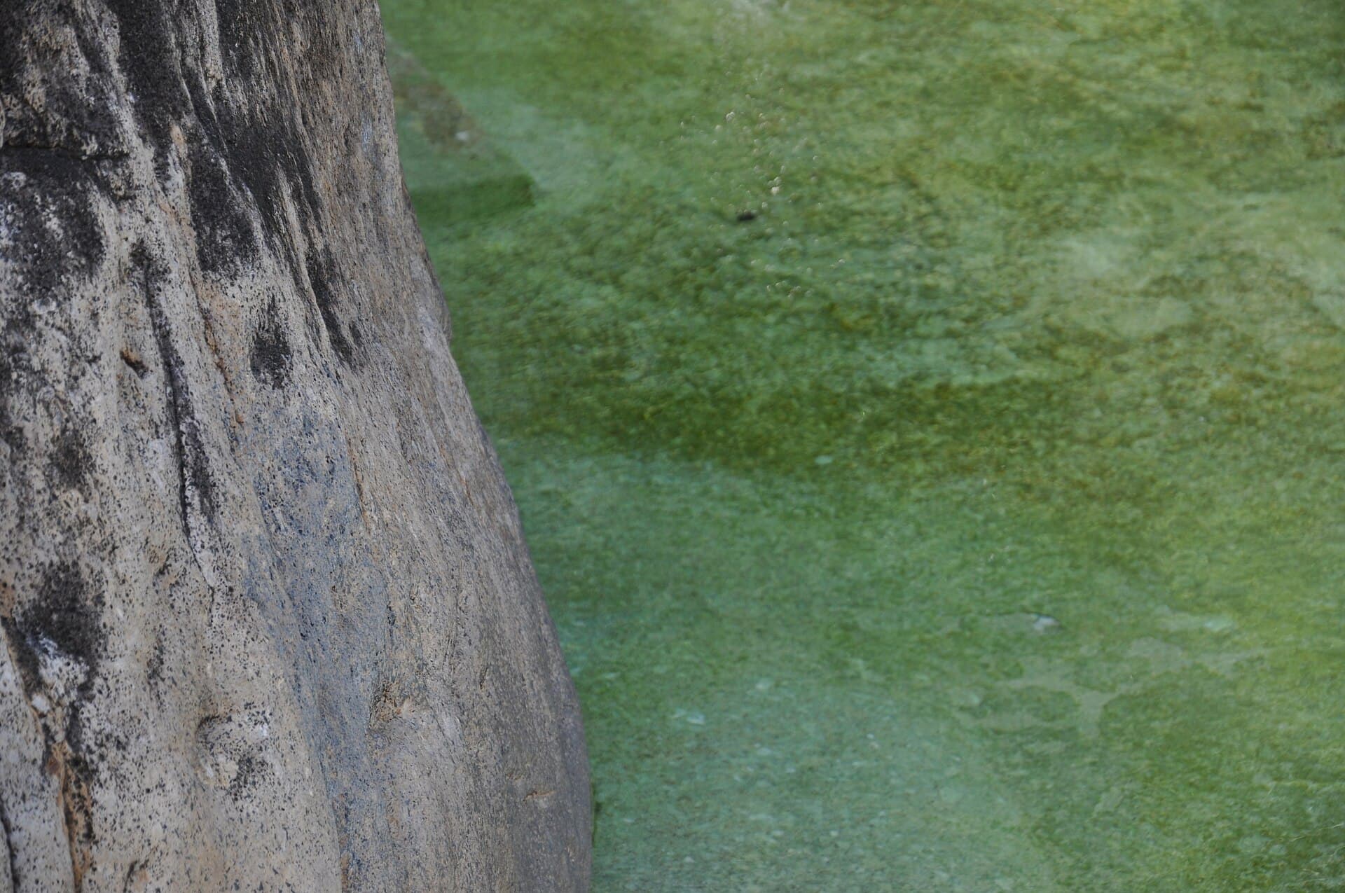 Poring Hot Springs, Kota Kinabalu