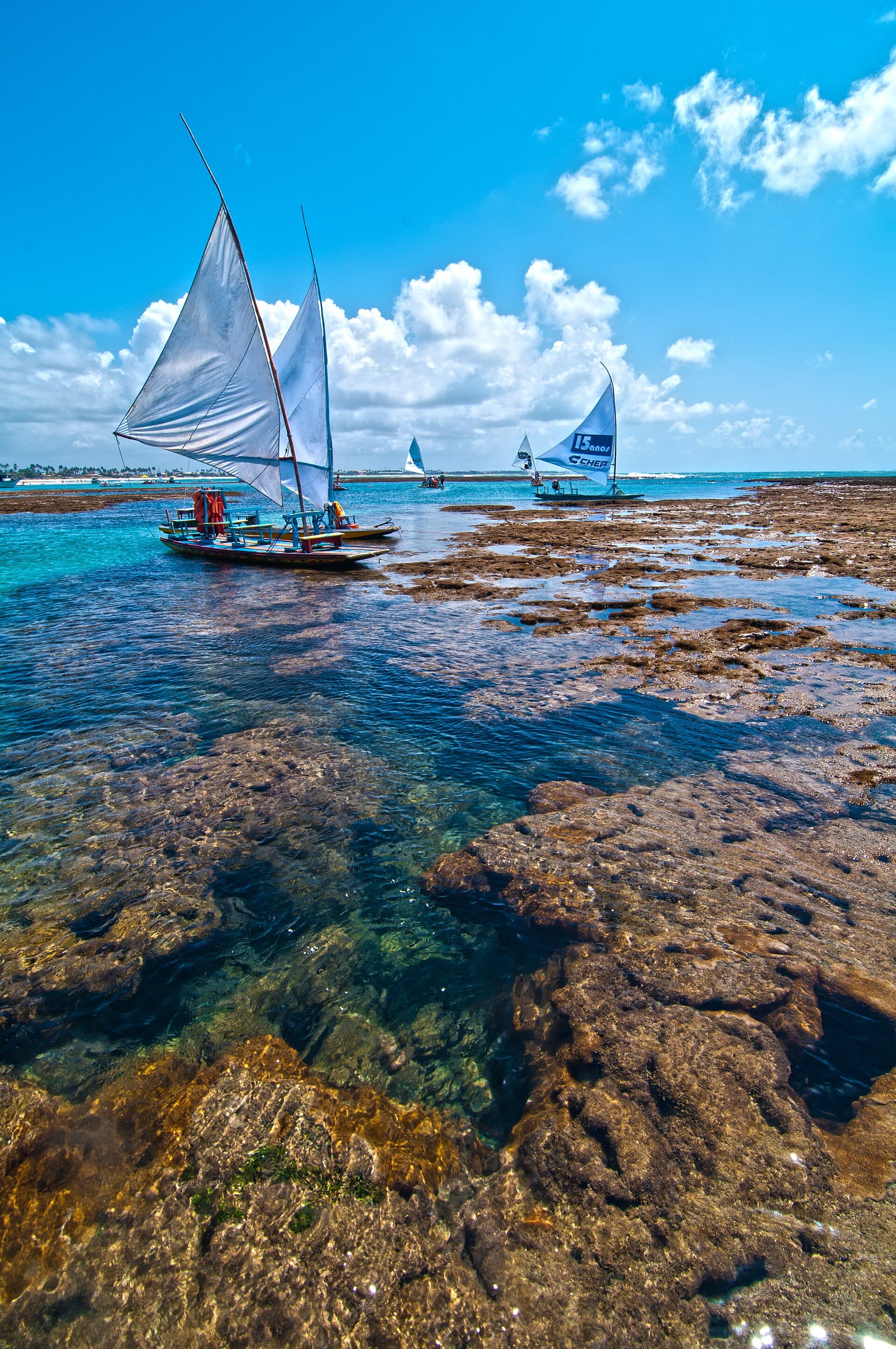 Porto de Galinhas Natural Pools, Porto de Galinhas