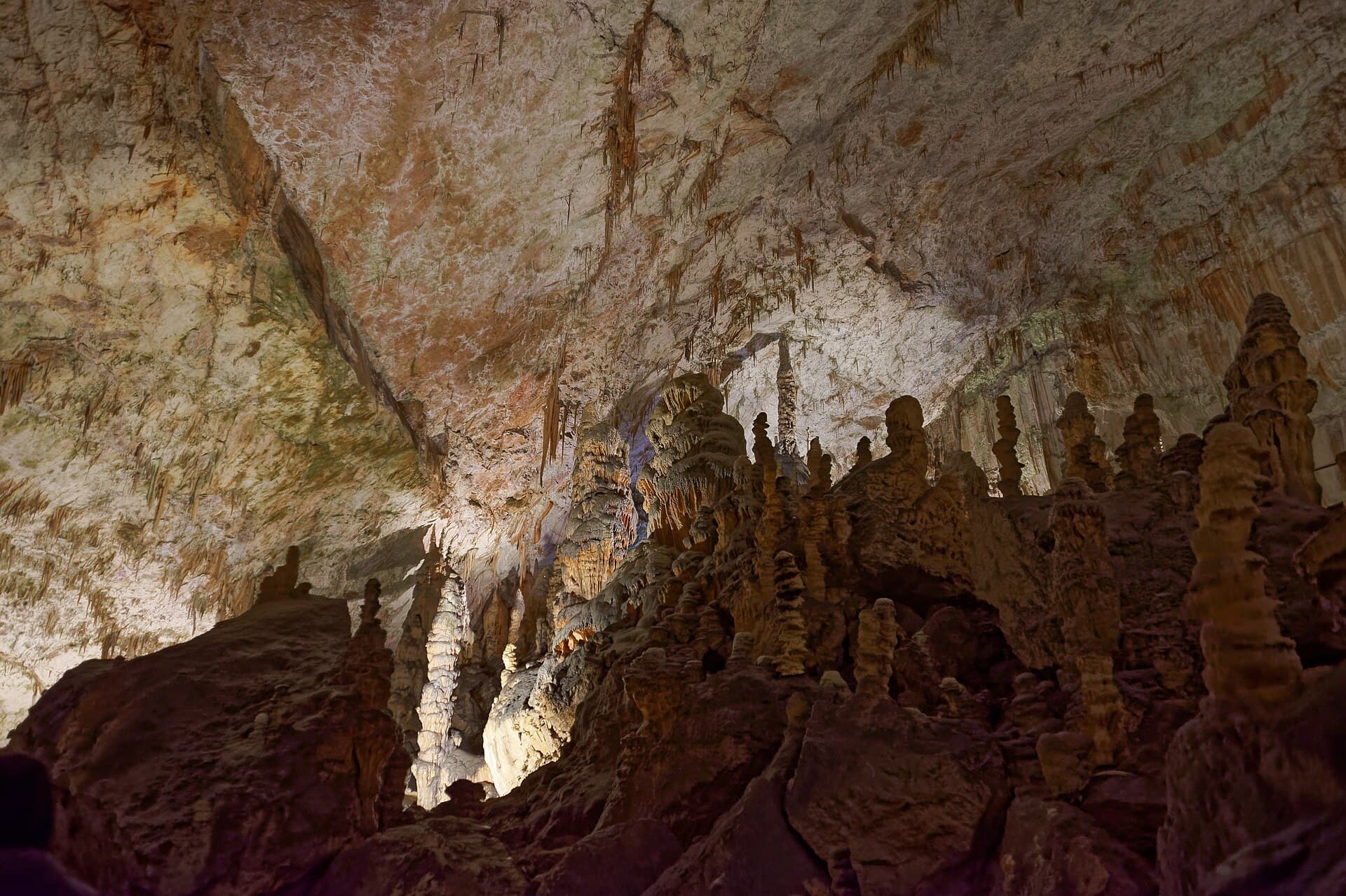 Postojna Cave, Ljubljana