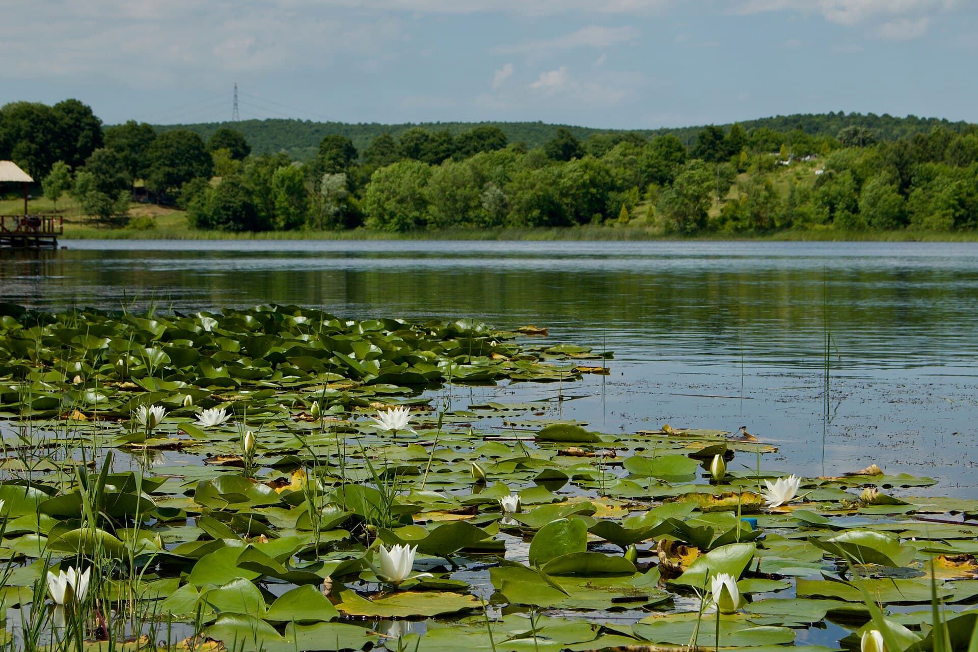 Poyrazlar Lake Nature Park, Sapanca