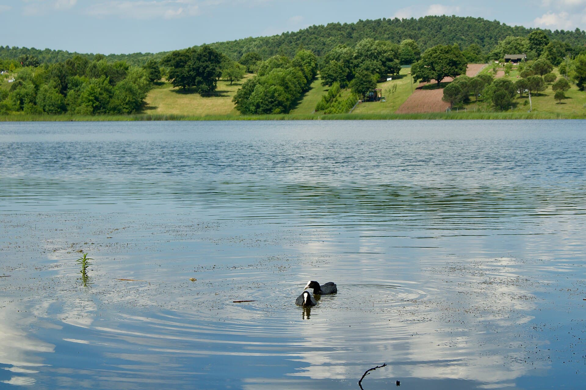 Poyrazlar Lake Nature Park, Sapanca