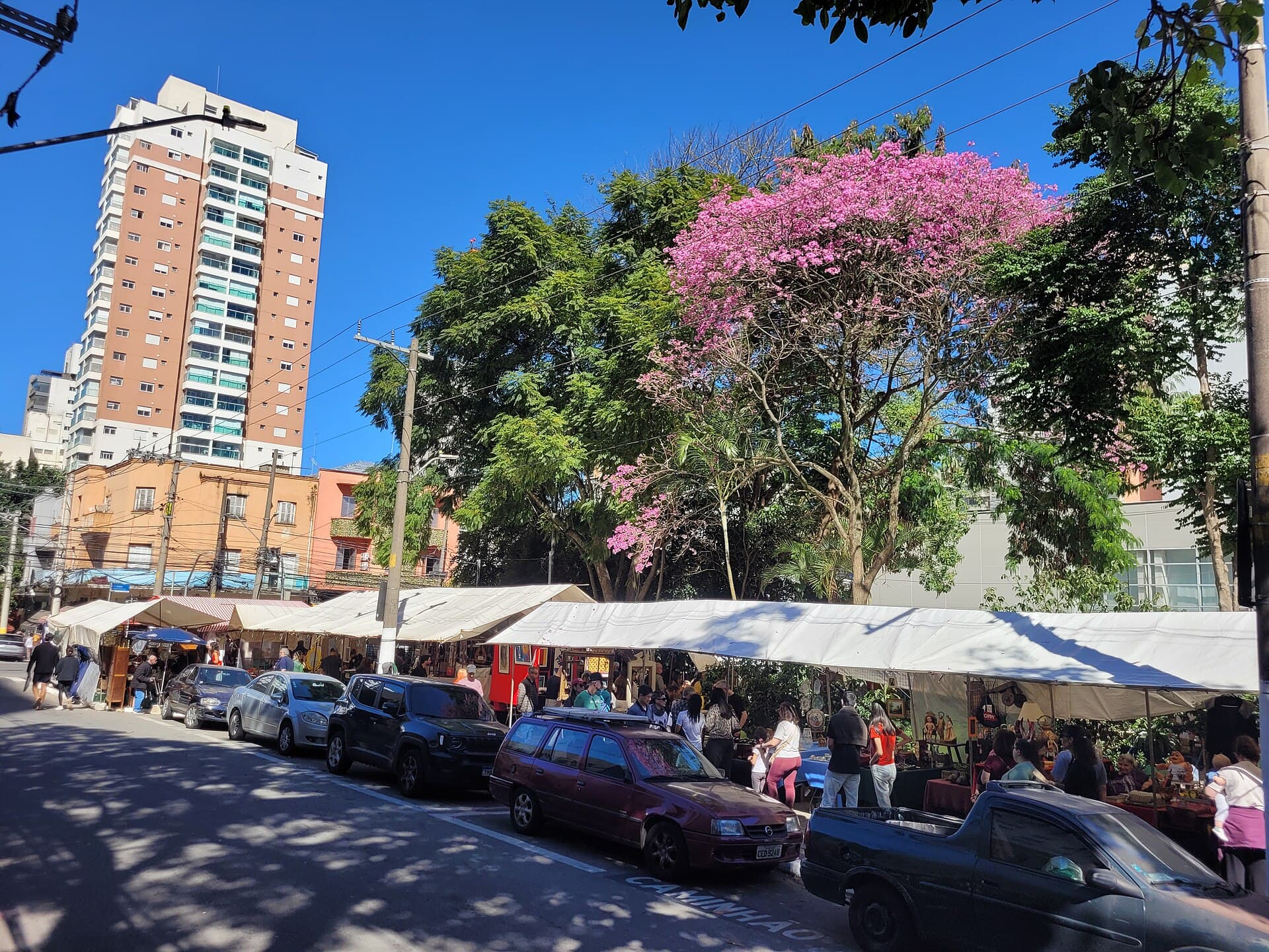 Praça Benedito Calixto and its fair, São Paulo