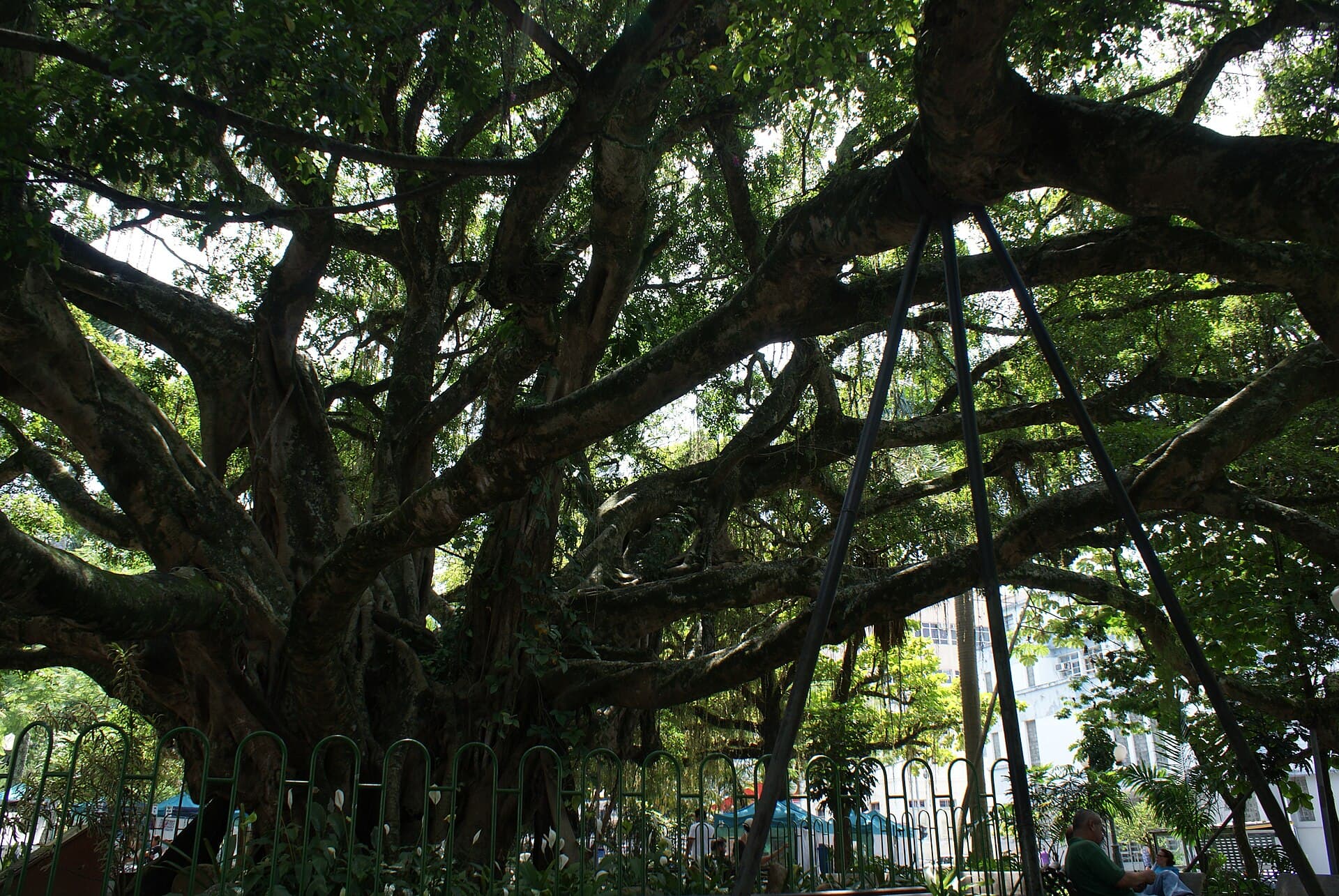 Praça XV de Novembro (Florianópolis), Florianópolis