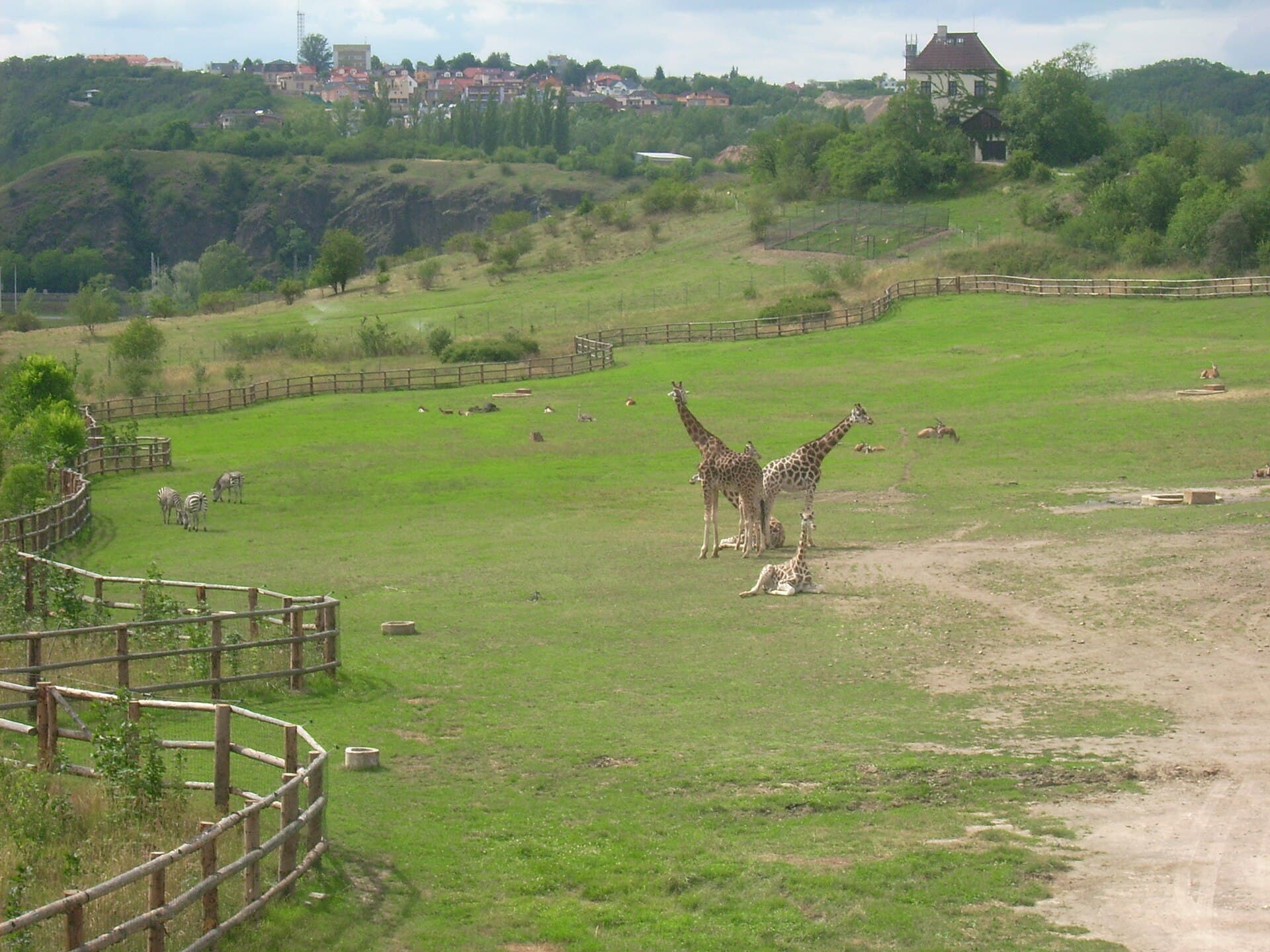 Prague Zoo, Prague