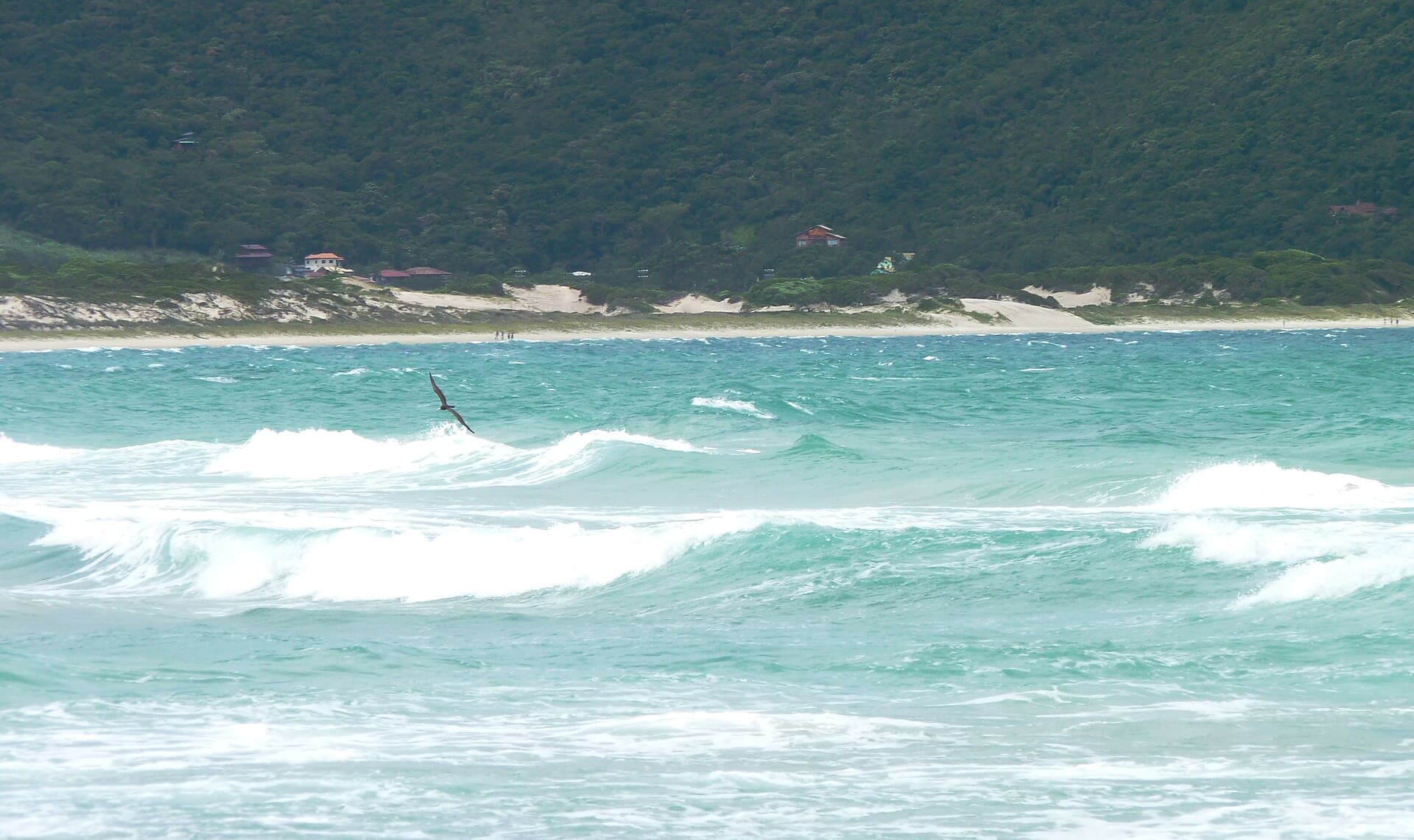 Praia Brava, Florianópolis