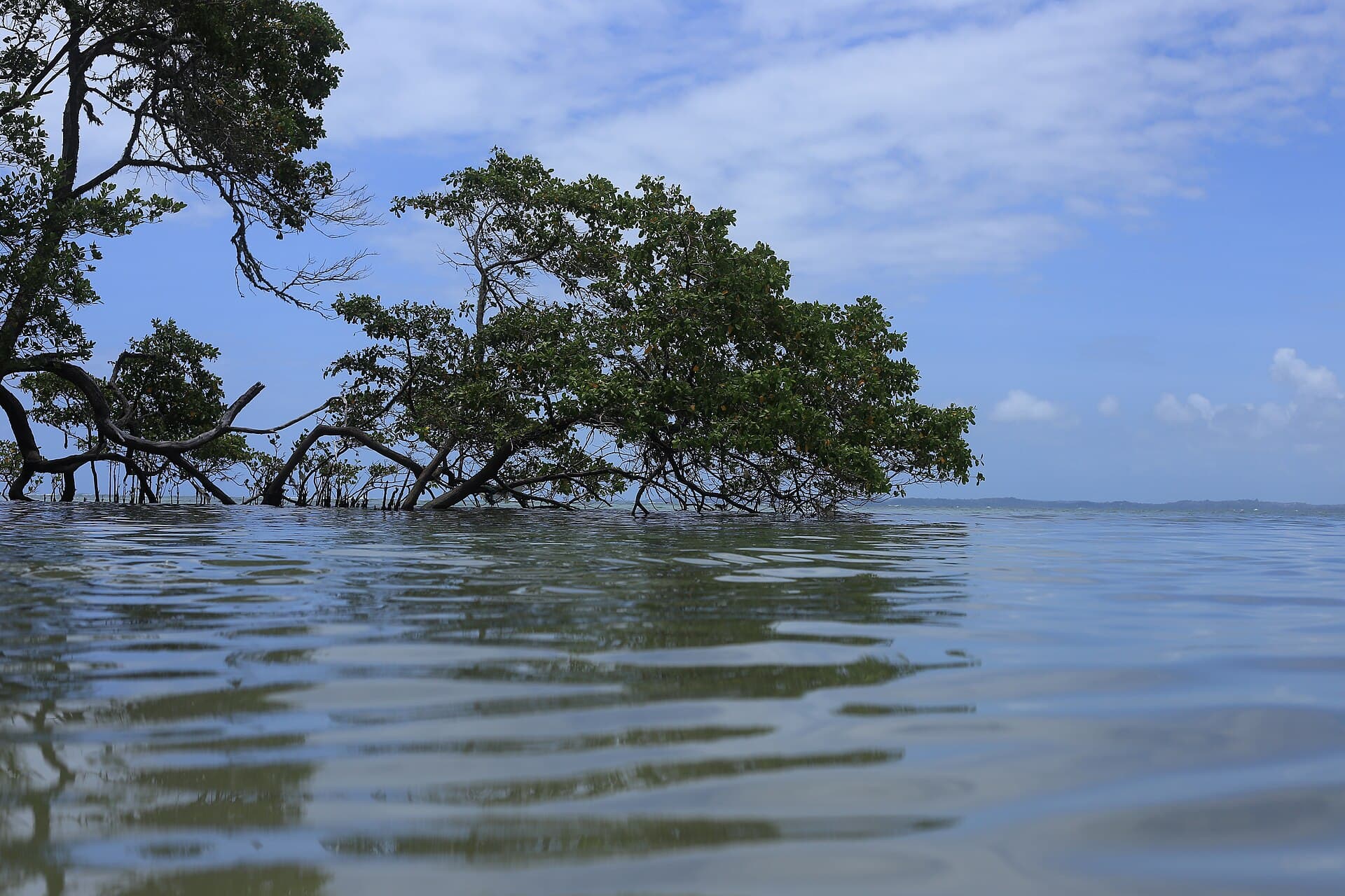 Praia de Garapuá, Cairu