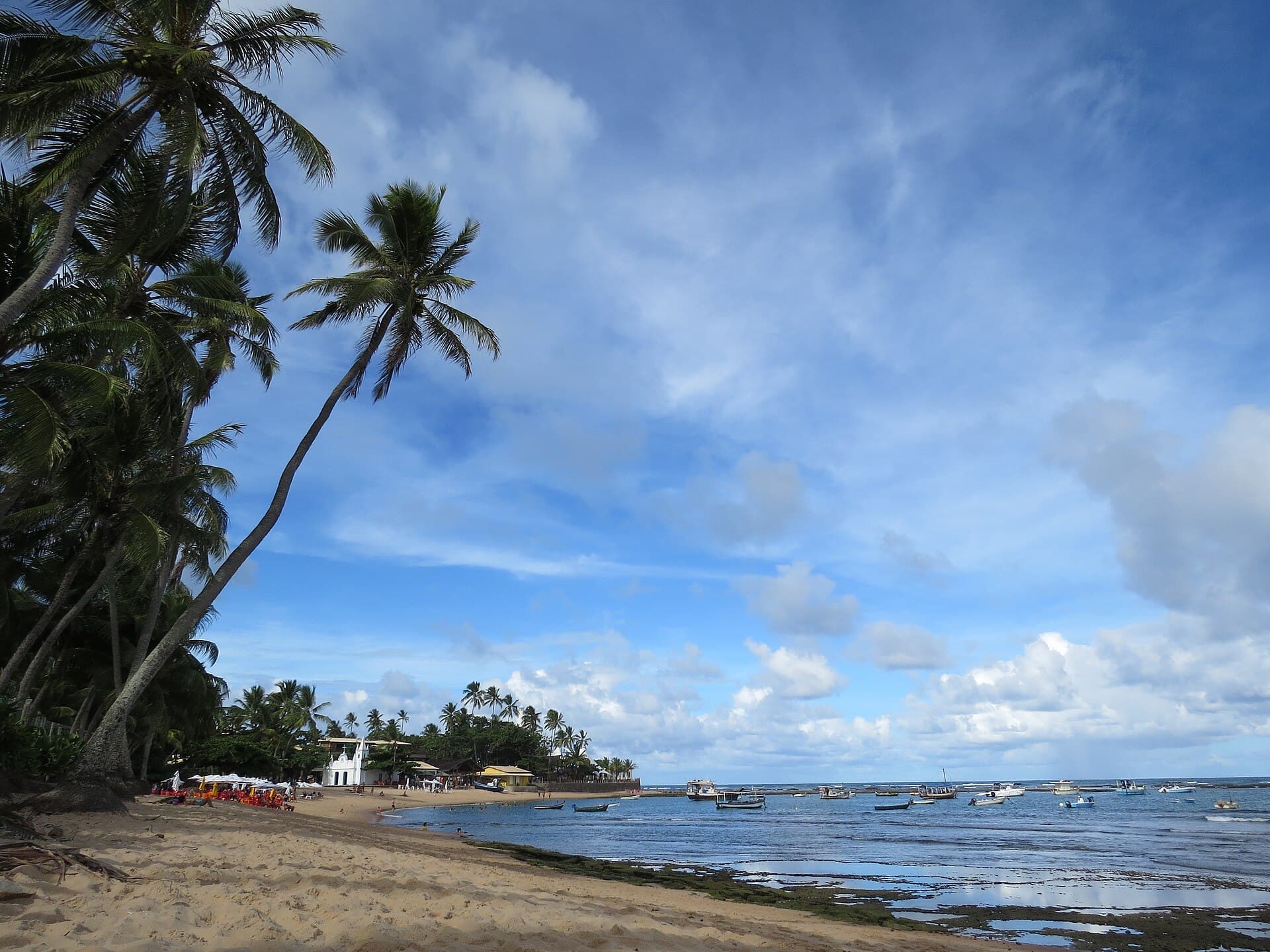 Praia do Forte and the Tamar Project, Salvador
