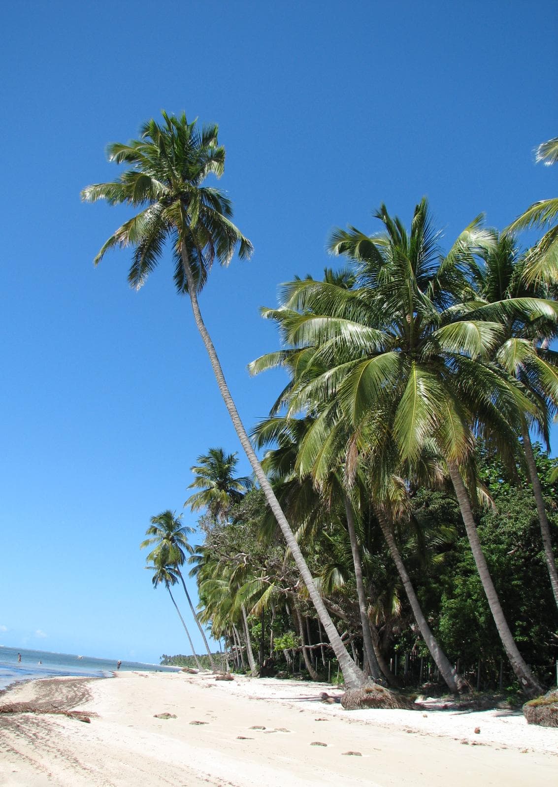 Praia dos Carneiros, Tamandaré