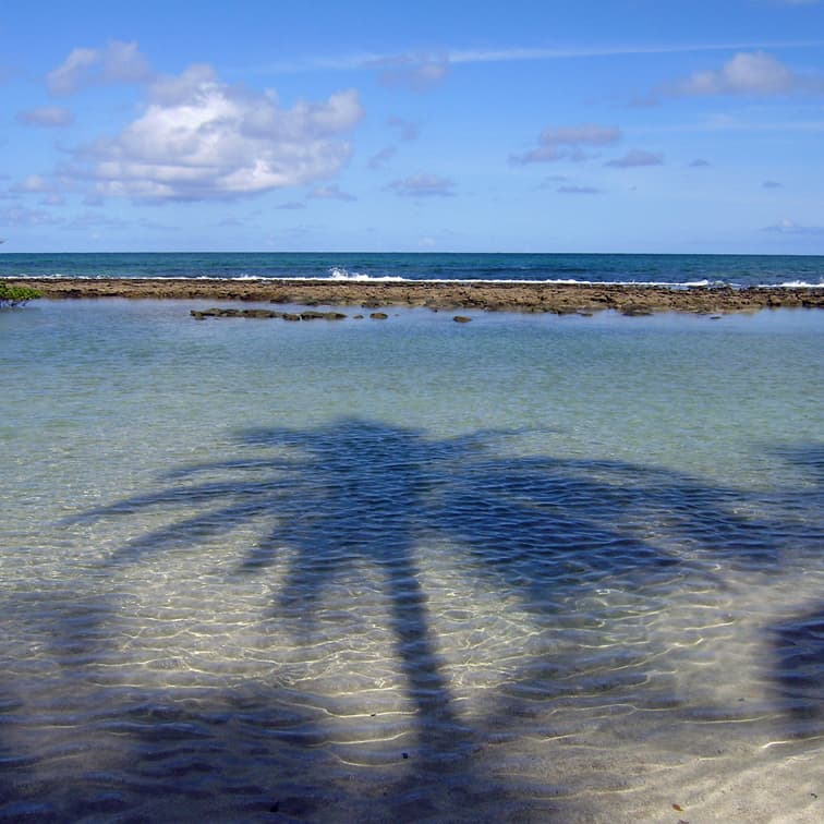 Praia dos Carneiros, Tamandaré