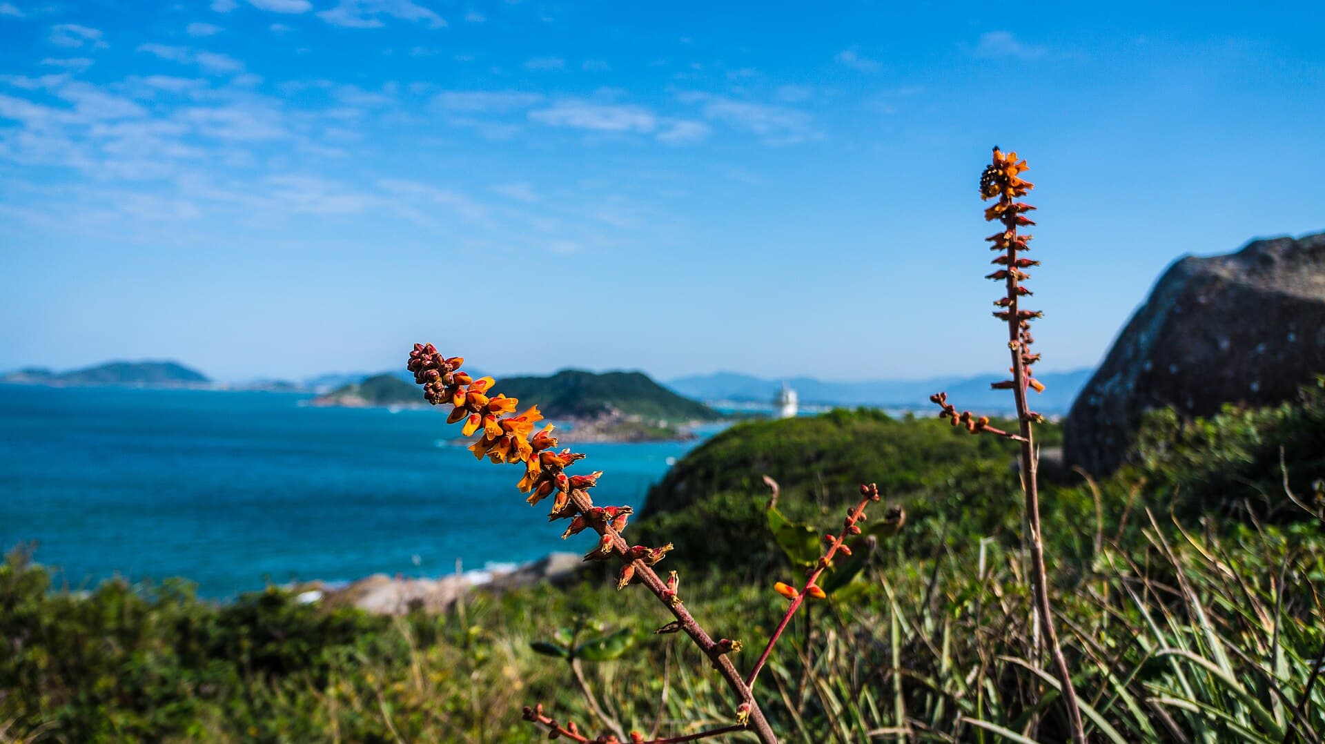 Praia dos Naufragados, Florianópolis