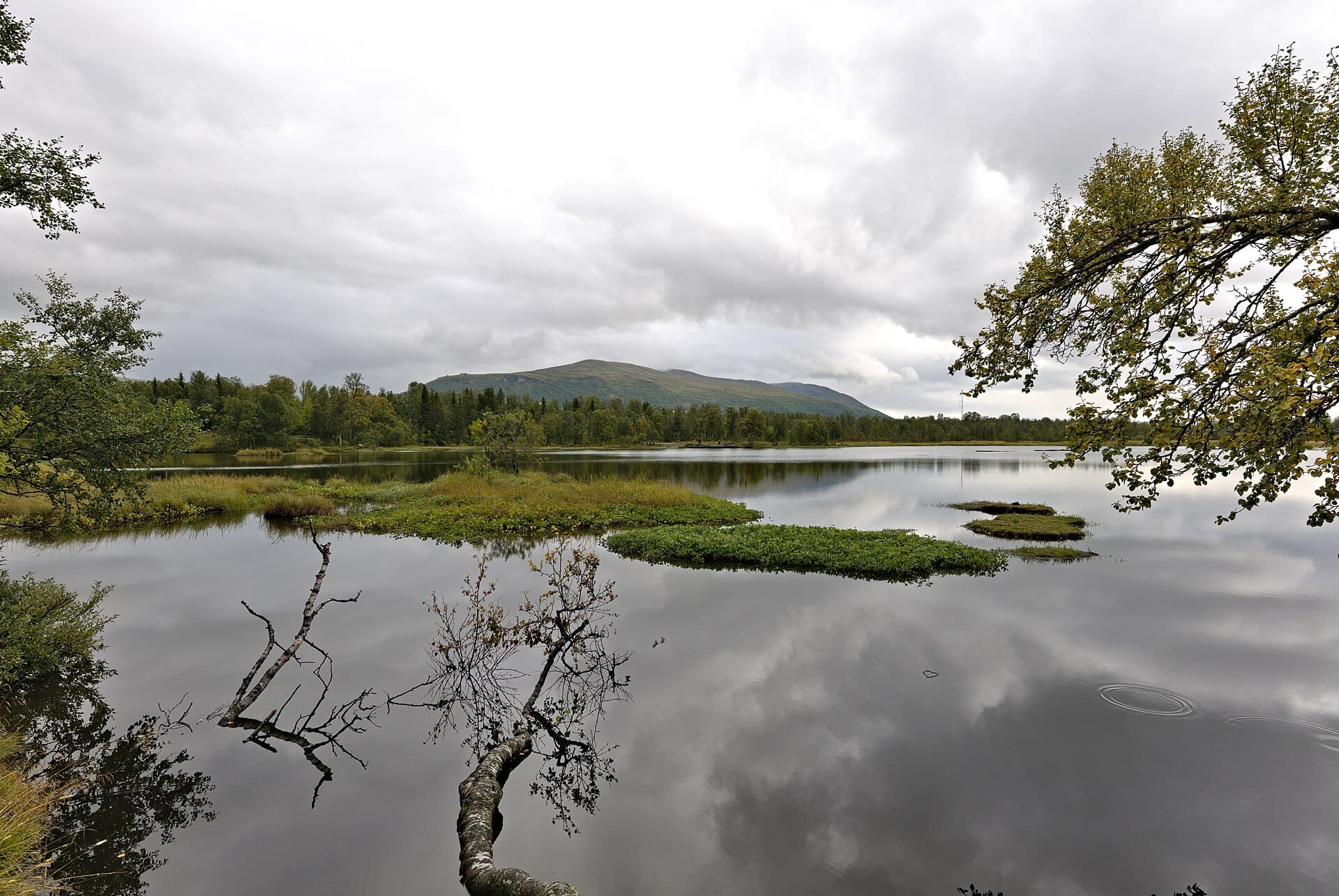 Prestvannet Lake, Tromsø