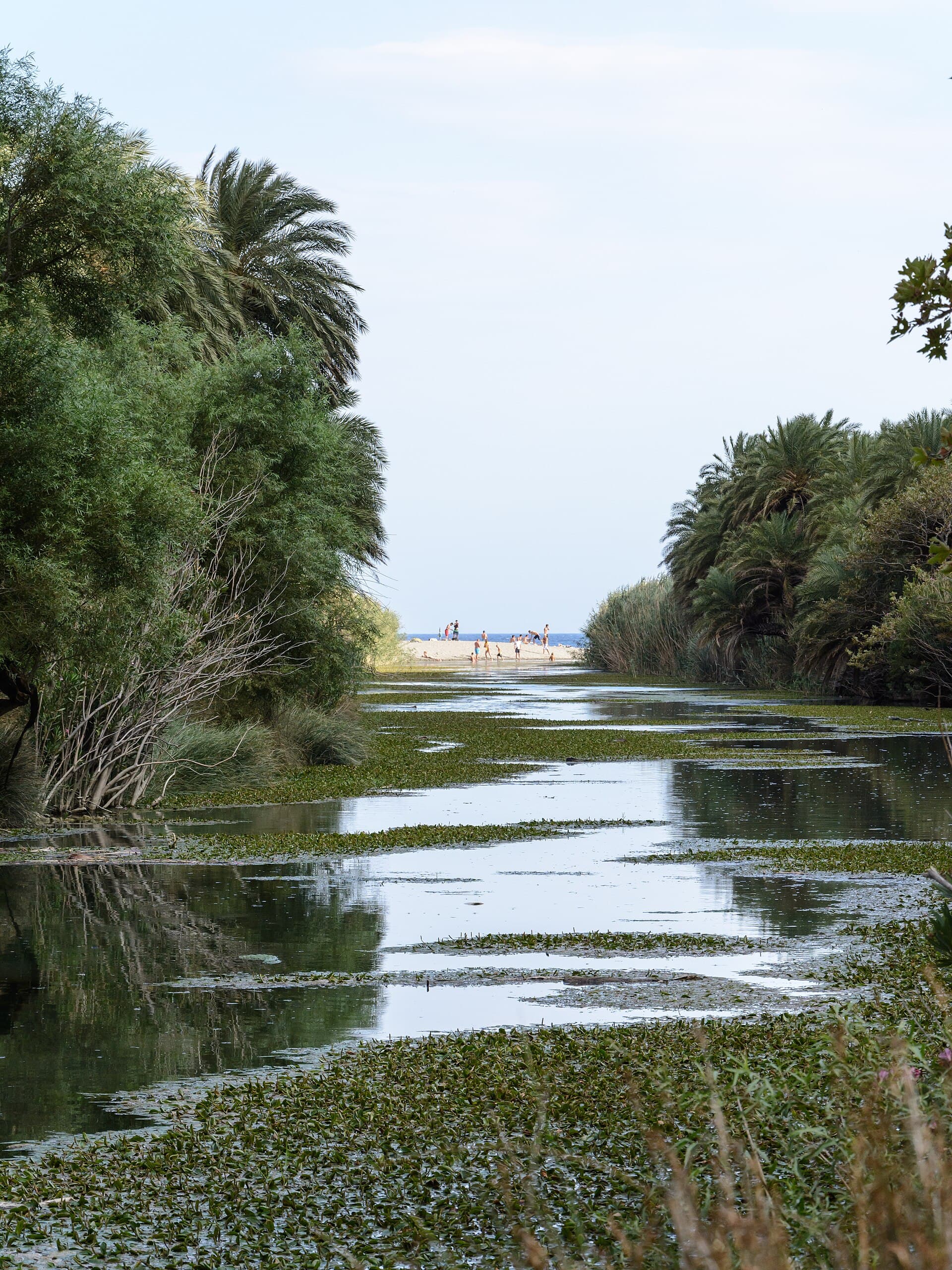 Preveli Beach and its Palm Forest, Rethymno