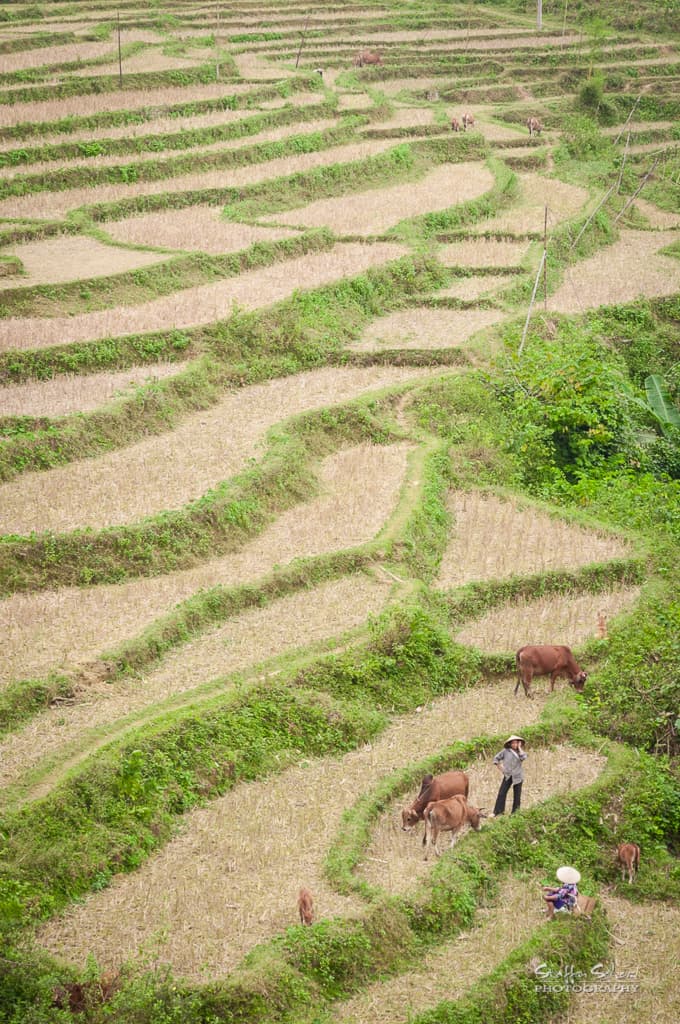 Pu Luong Nature Reserve, Pu Luong