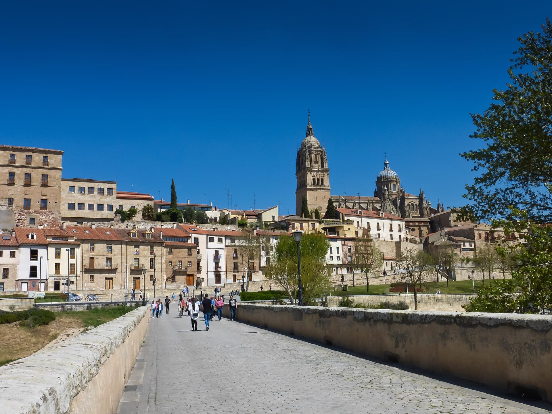 The Roman Bridge, Salamanca