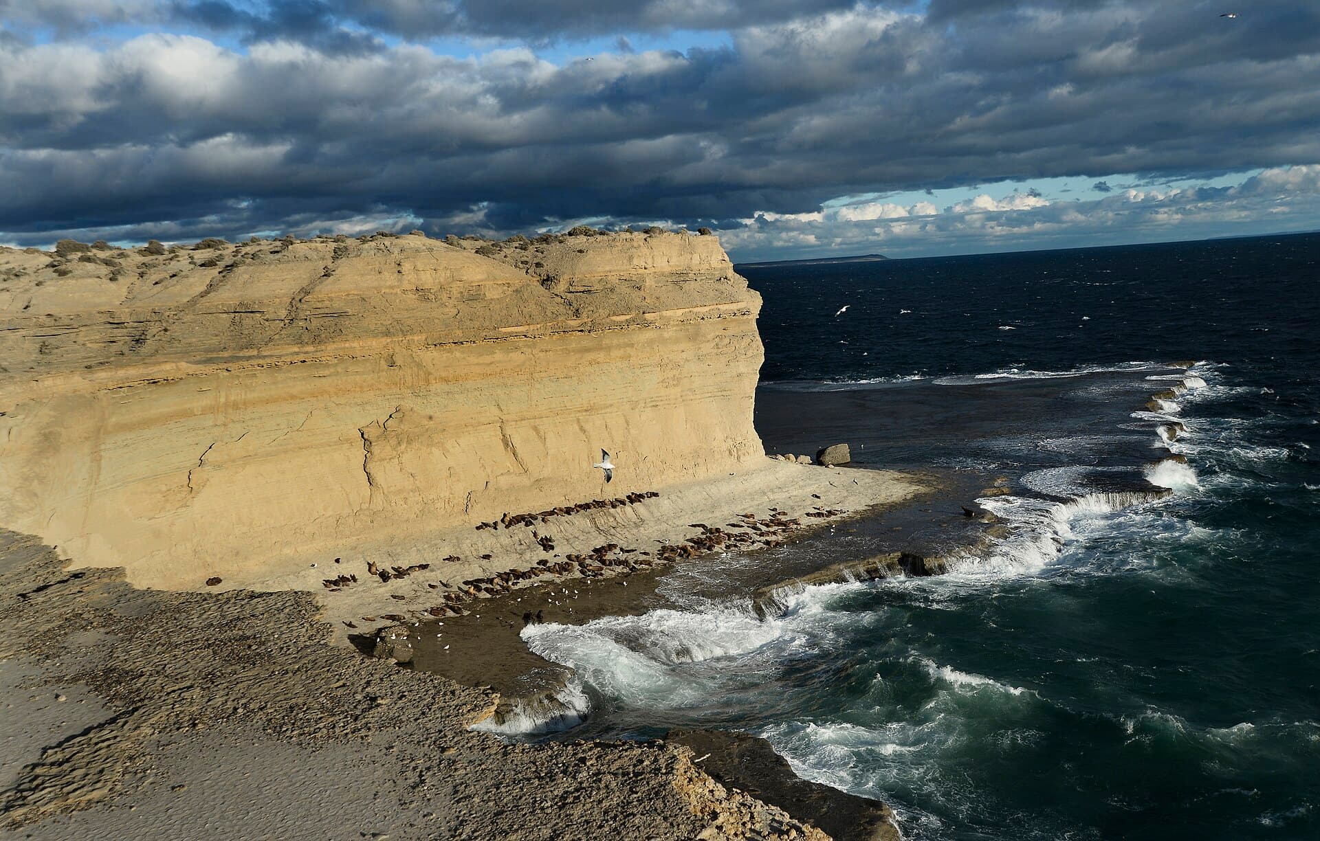 Puerto Pirámides, Puerto Madryn