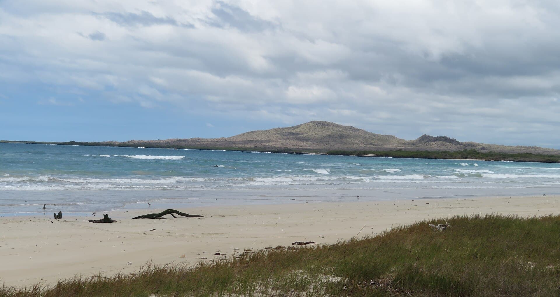 Puerto Villamil beach, Isabela Island