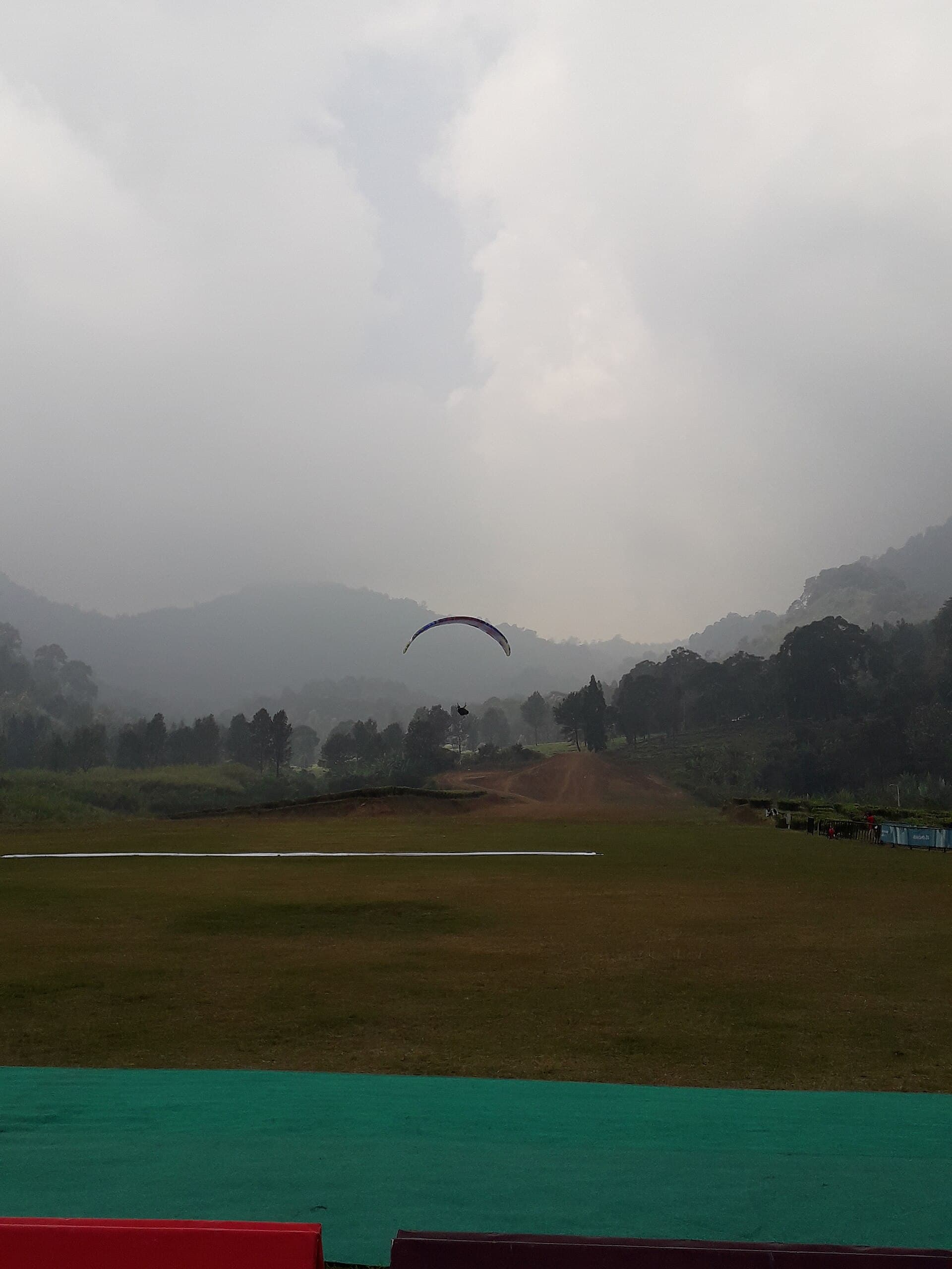 Tea gardens at Puncak