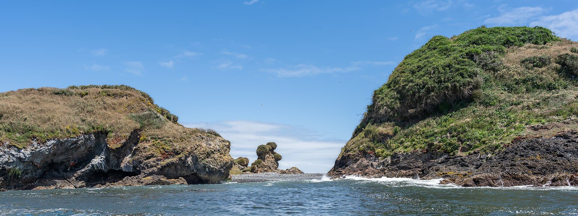 The Puñihuil islets