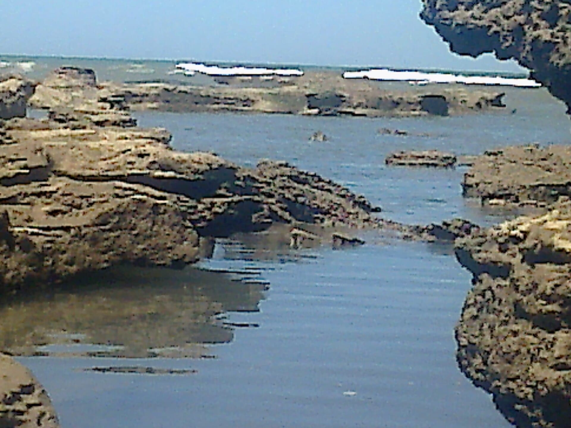 Punta Bermeja Sea Lion Reserve