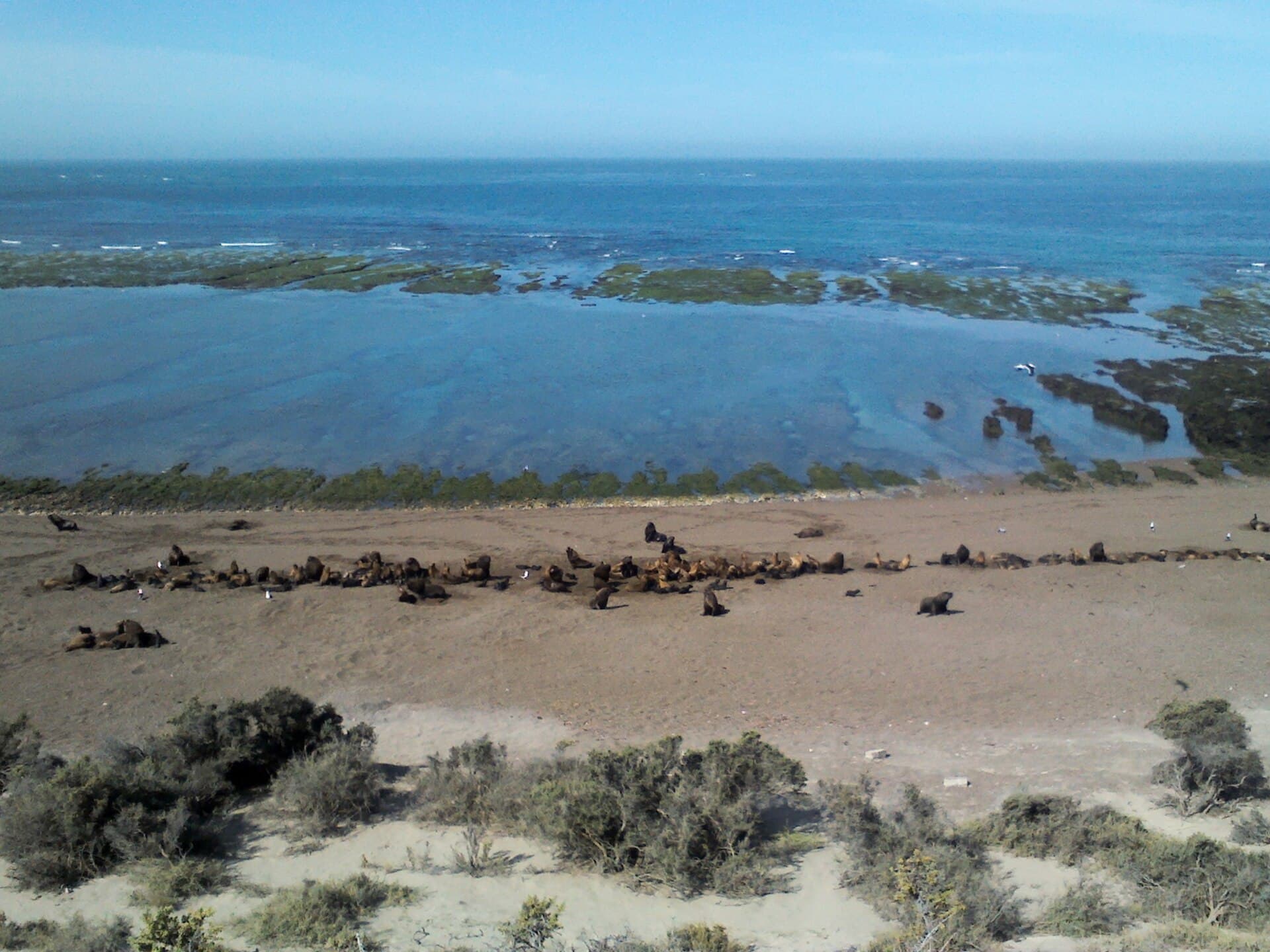 Punta Norte, Península Valdés, Puerto Madryn