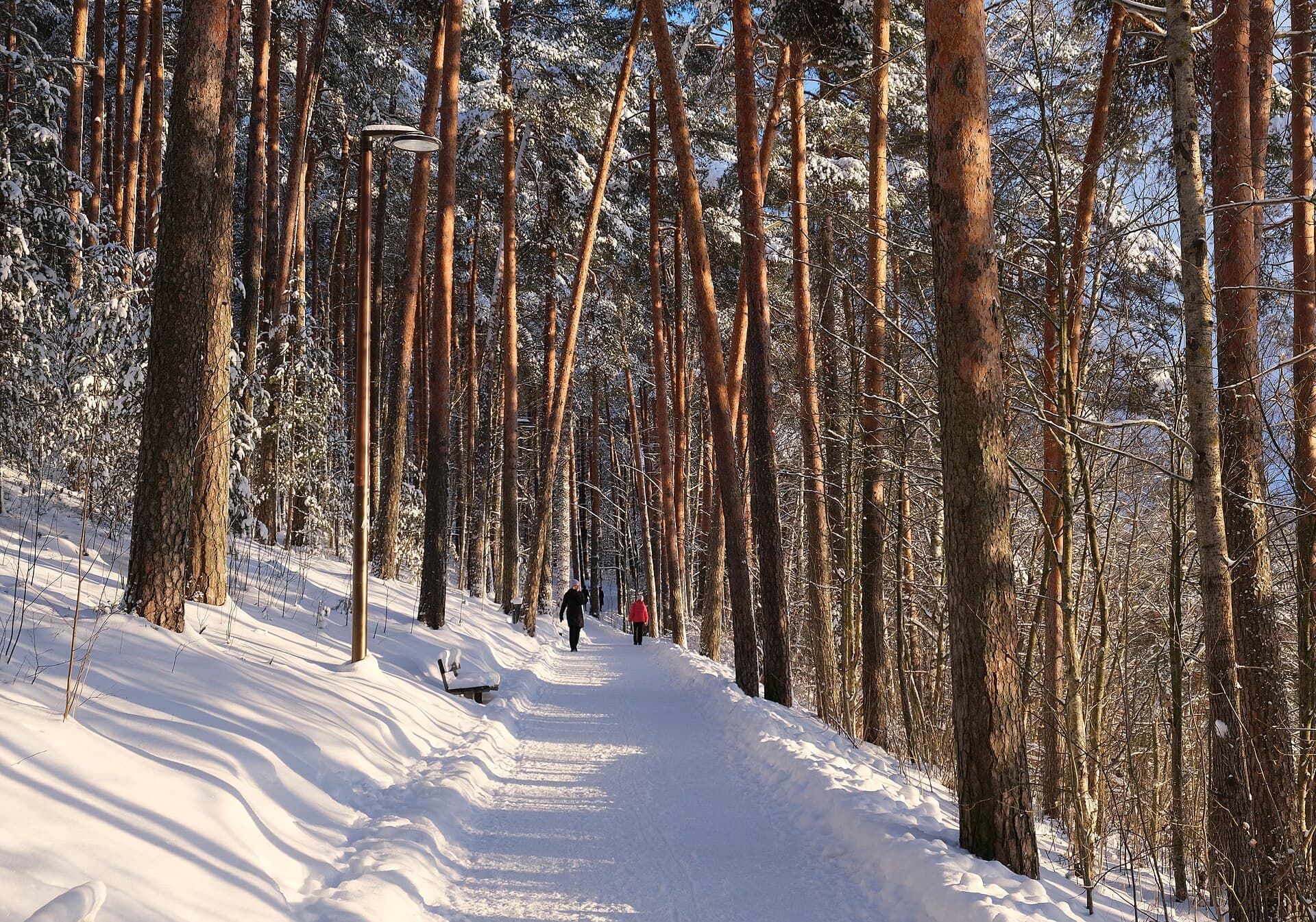 Pyynikki Ridge and Observation Tower, Tampere