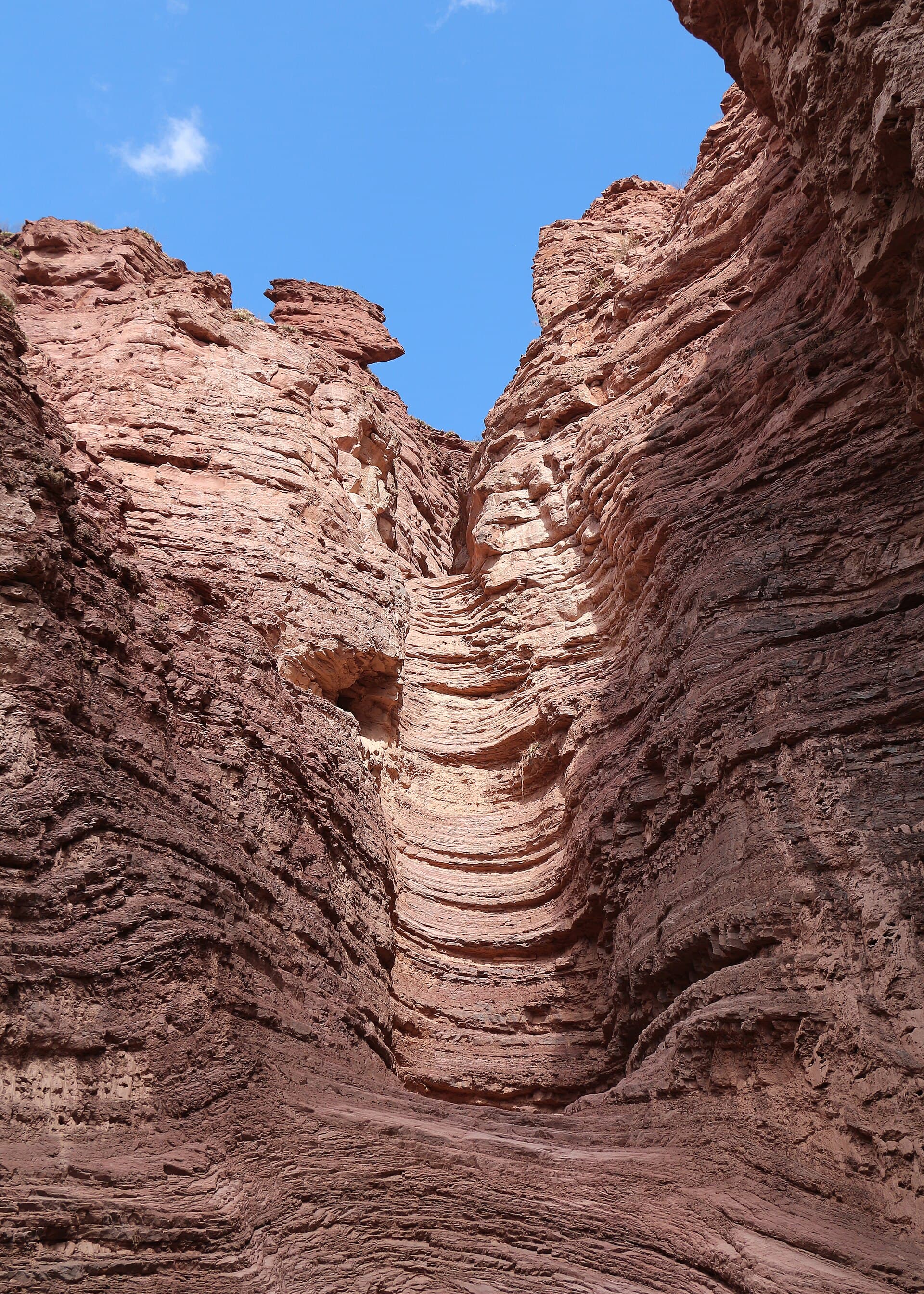 Quebrada de las Conchas, Salta