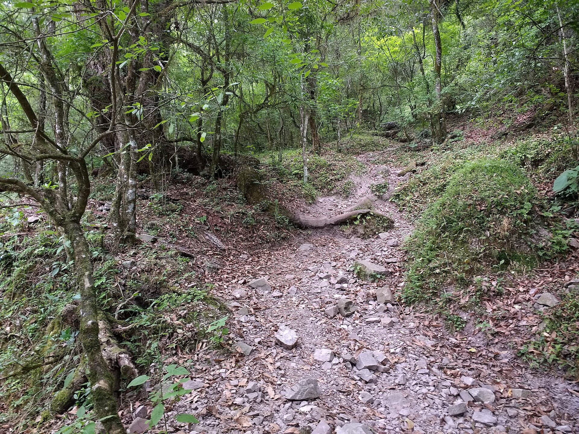 Quebrada de San Lorenzo, Salta