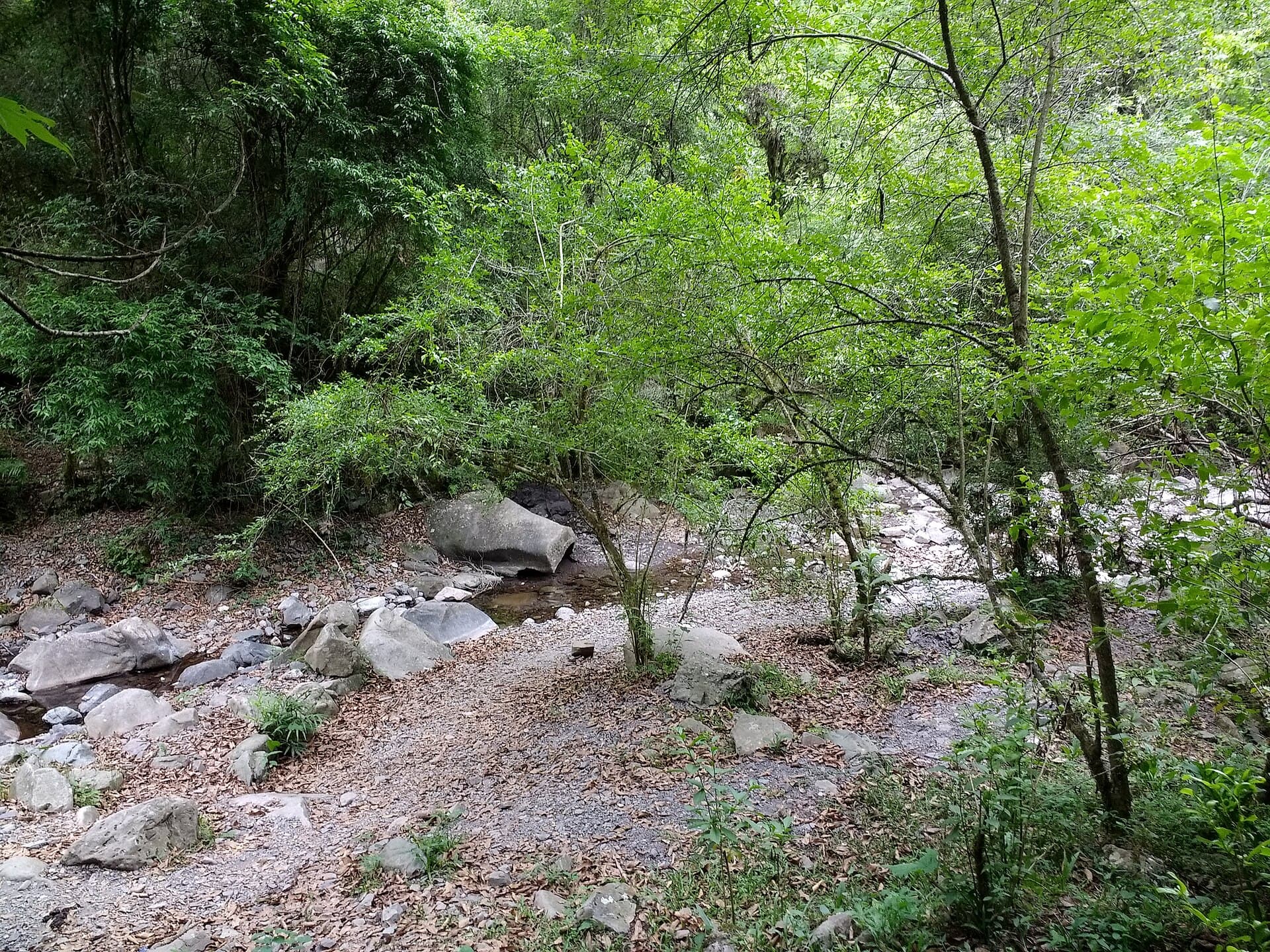 Quebrada de San Lorenzo, Salta