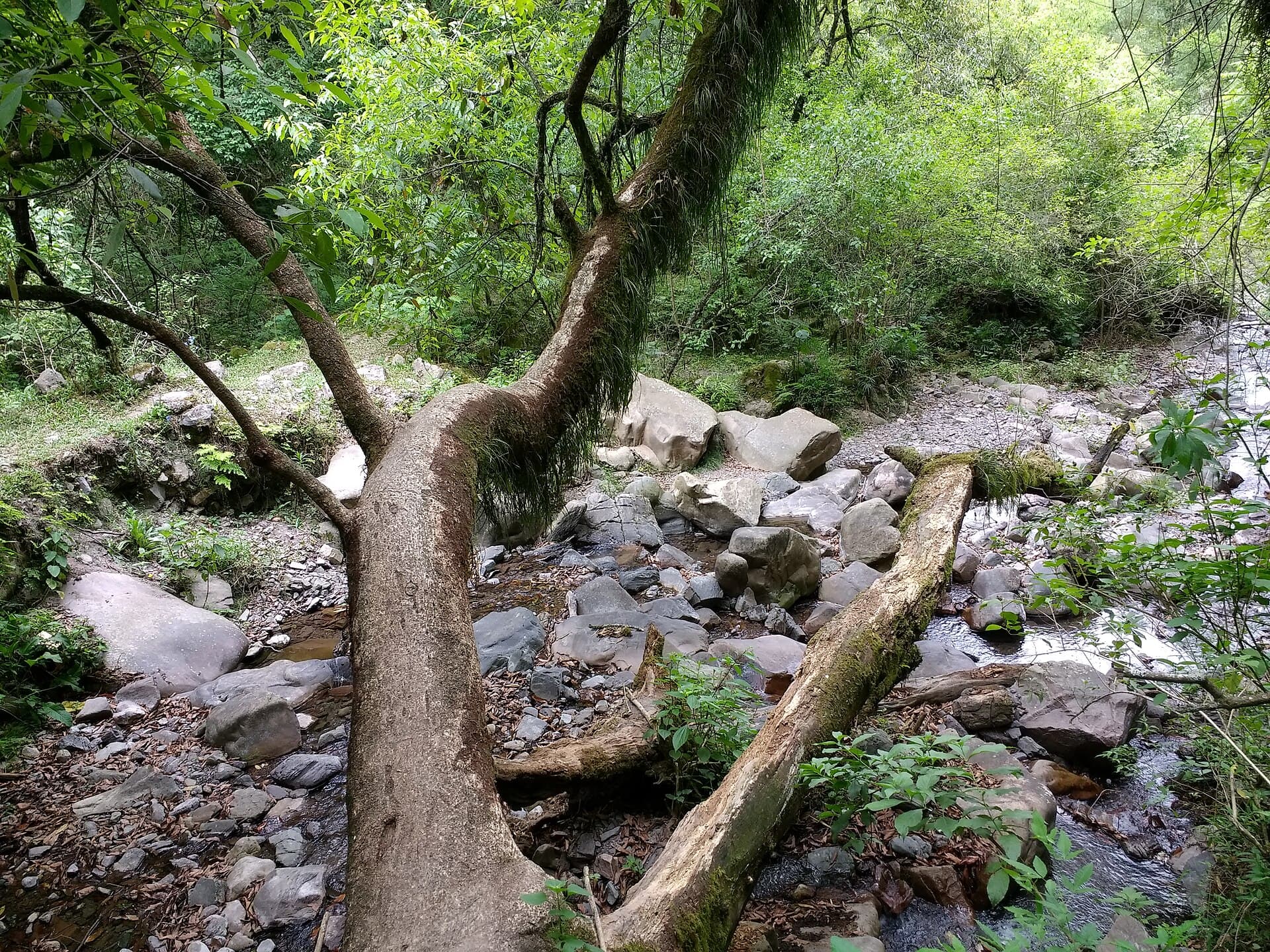 Quebrada de San Lorenzo, Salta