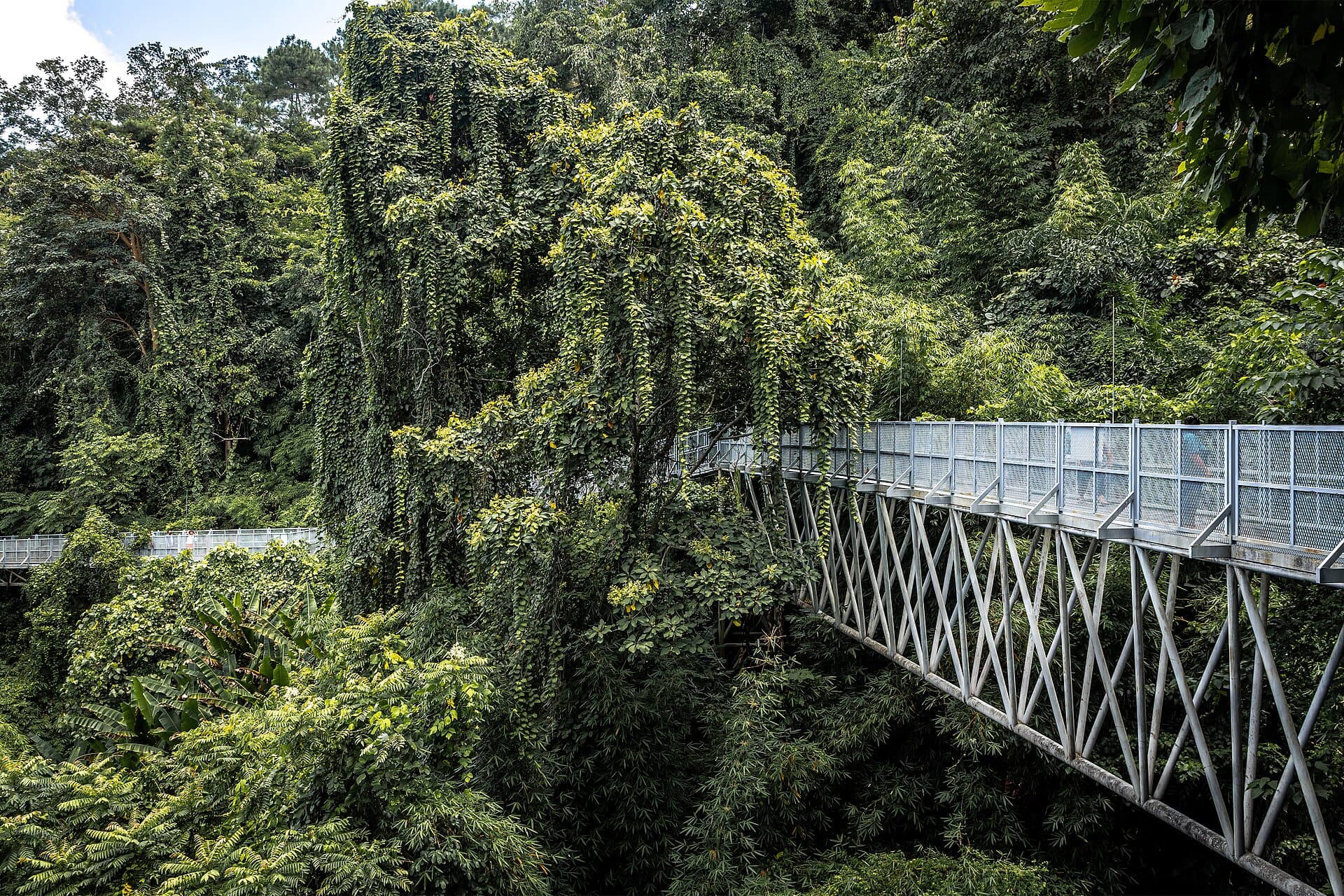 Queen Sirikit Botanic Garden, Chiang Mai